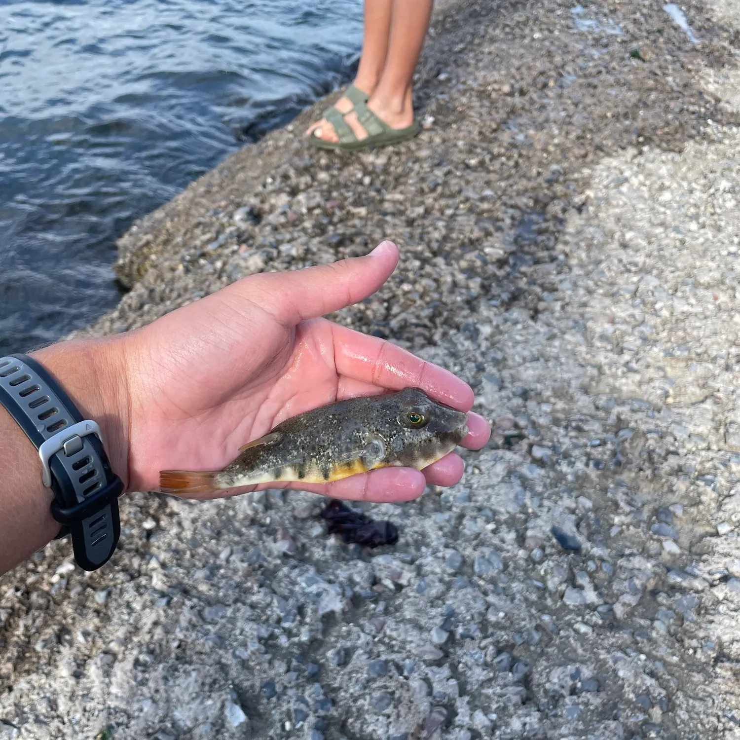 catch