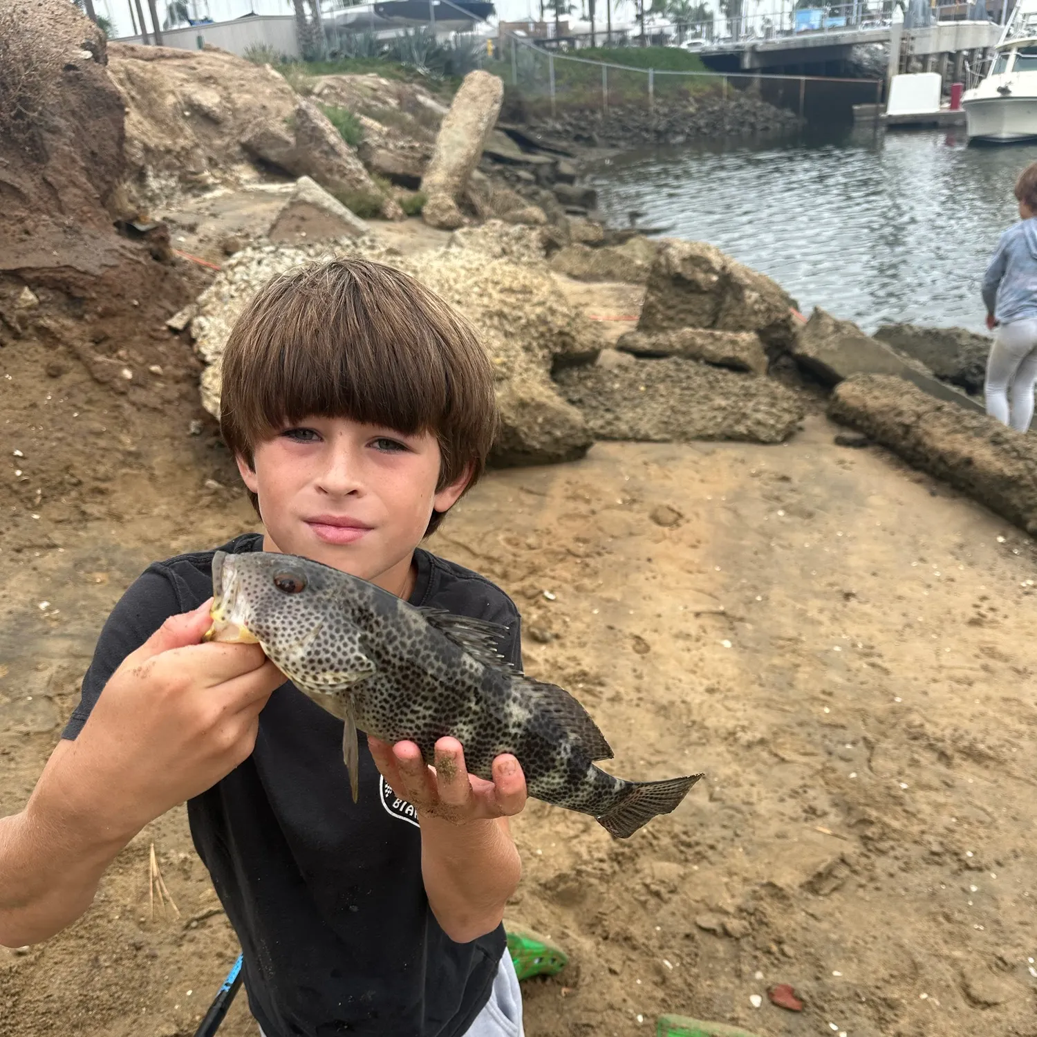Spotted sand bass caught on Fishbrain