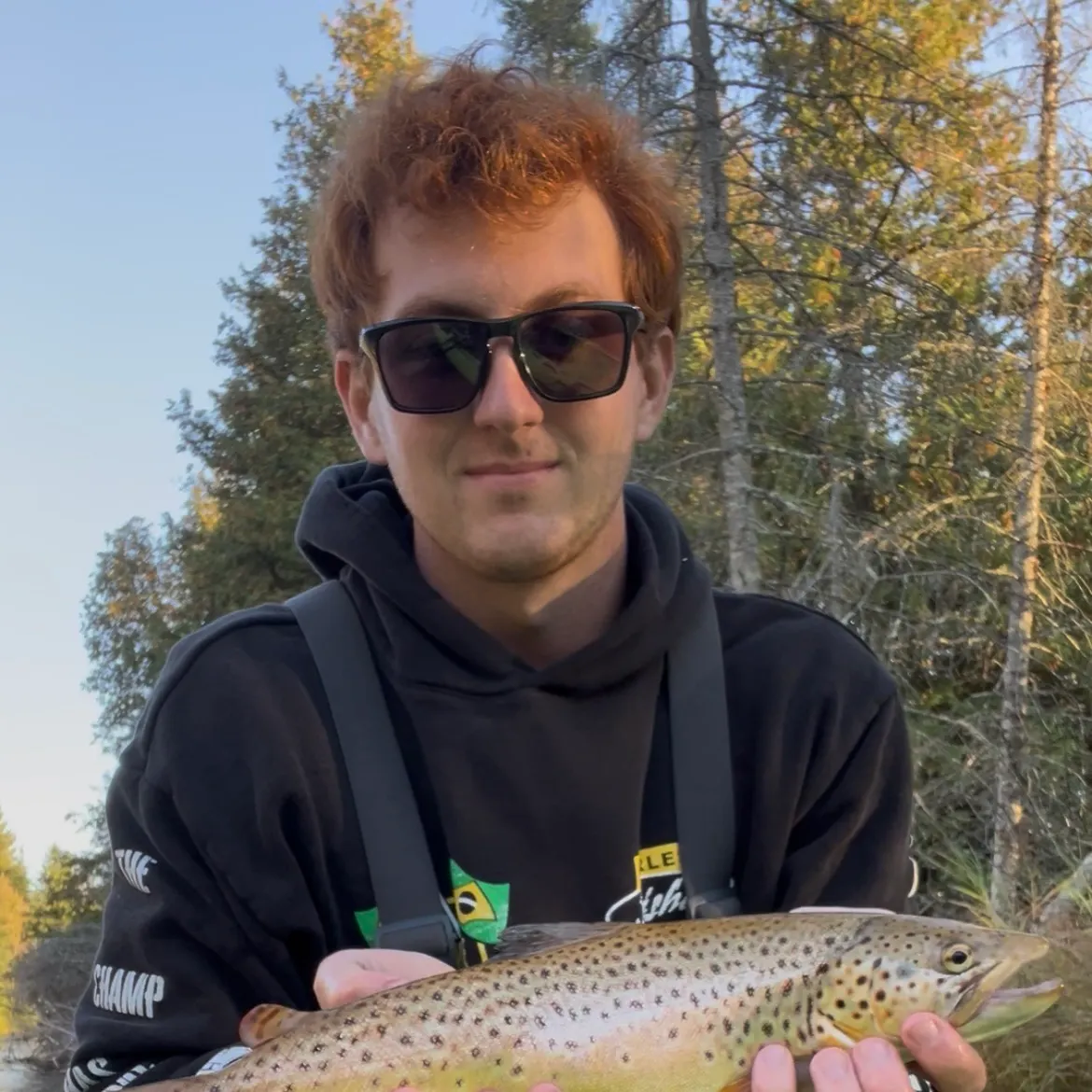 Brown trout caught on Fishbrain