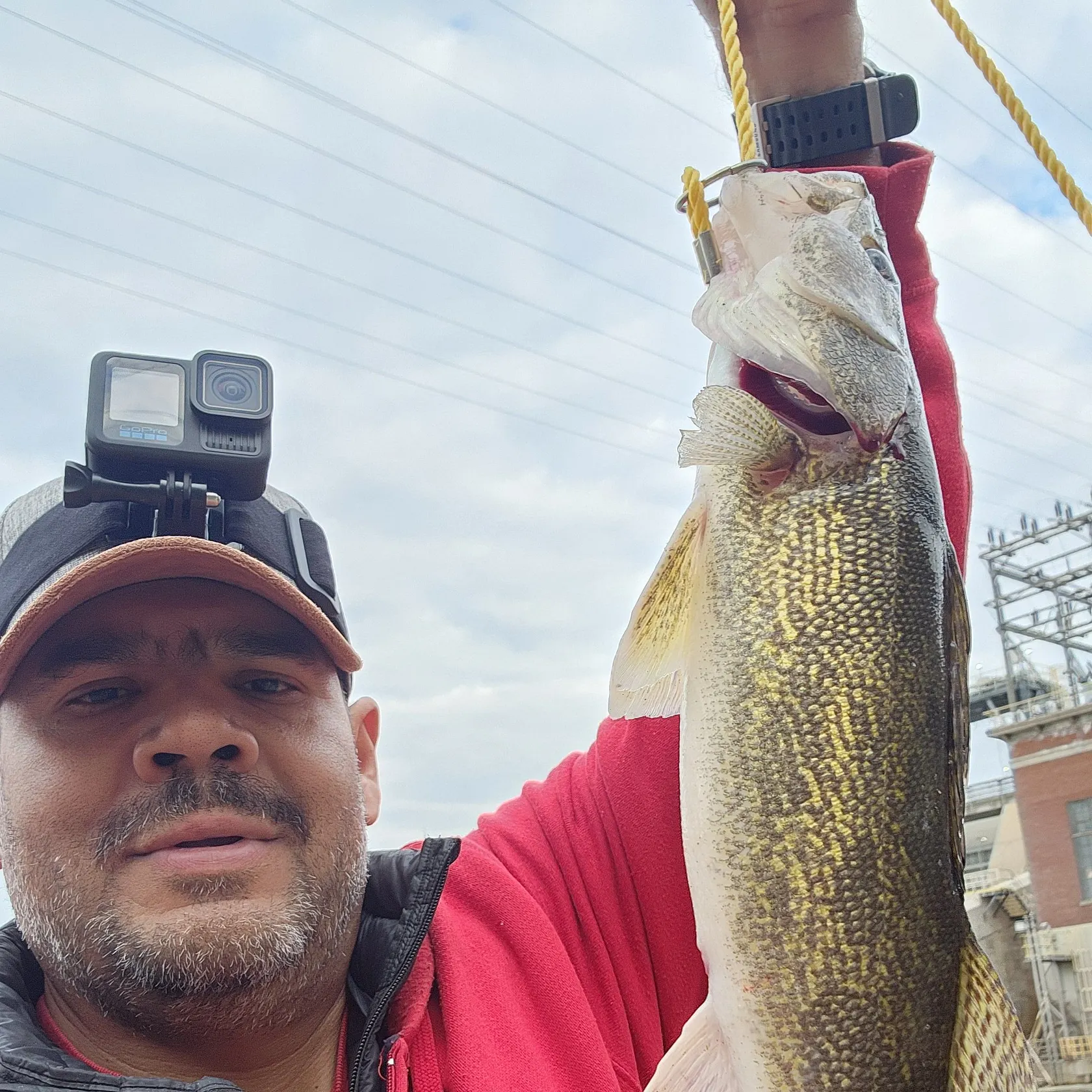 The most recent Walleye catches on Fishbrain