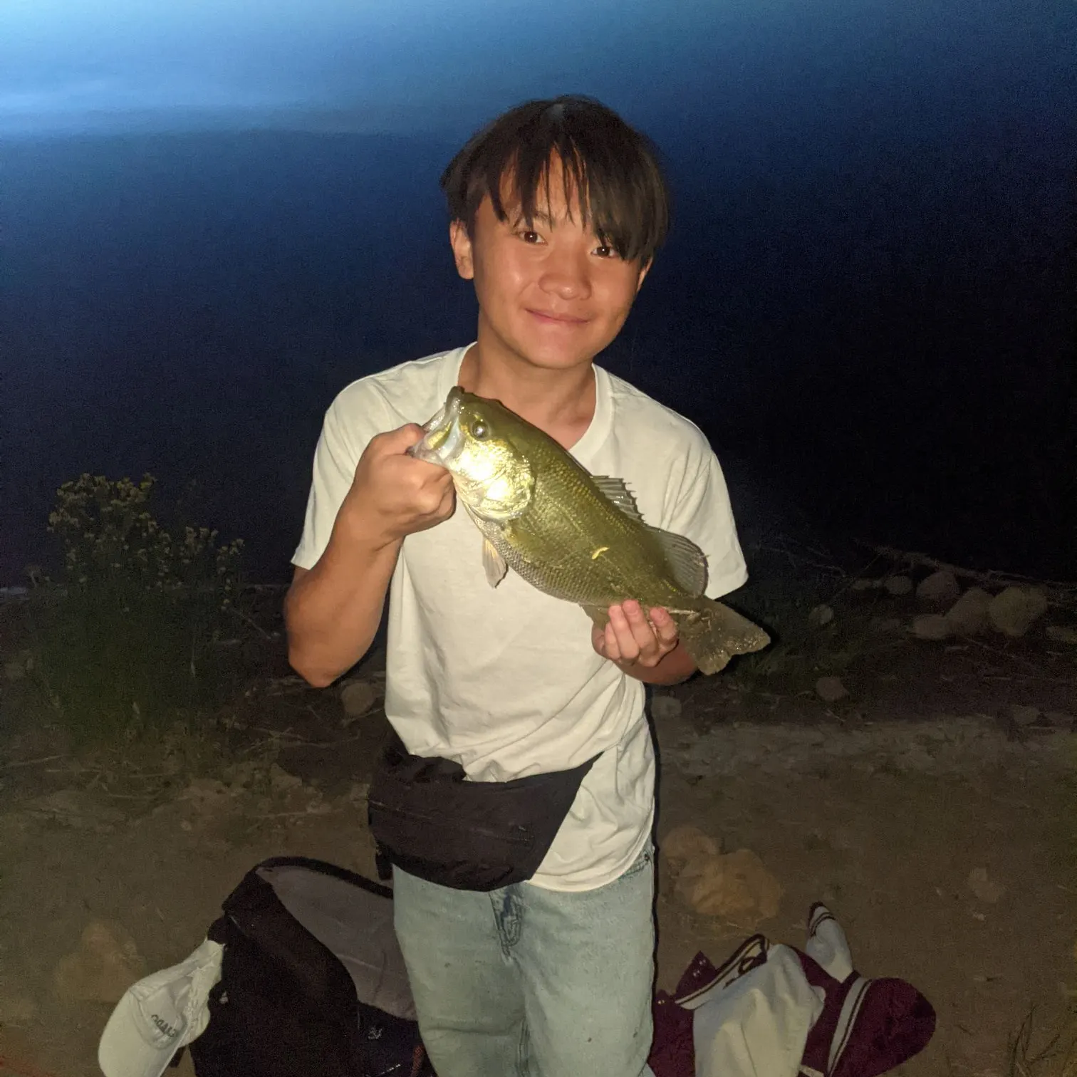 Smallmouth bass caught on Fishbrain