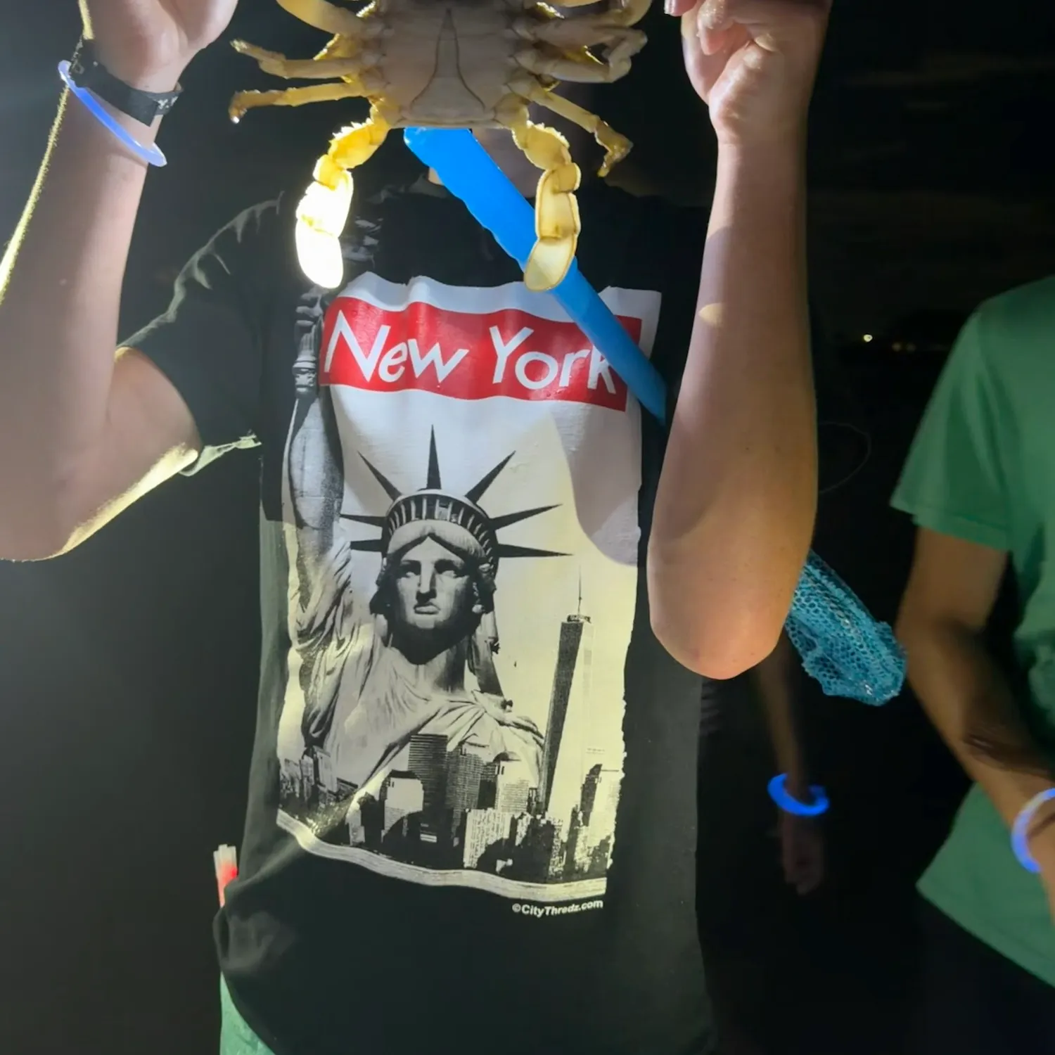 The most recent Florida stone crab catches on Fishbrain