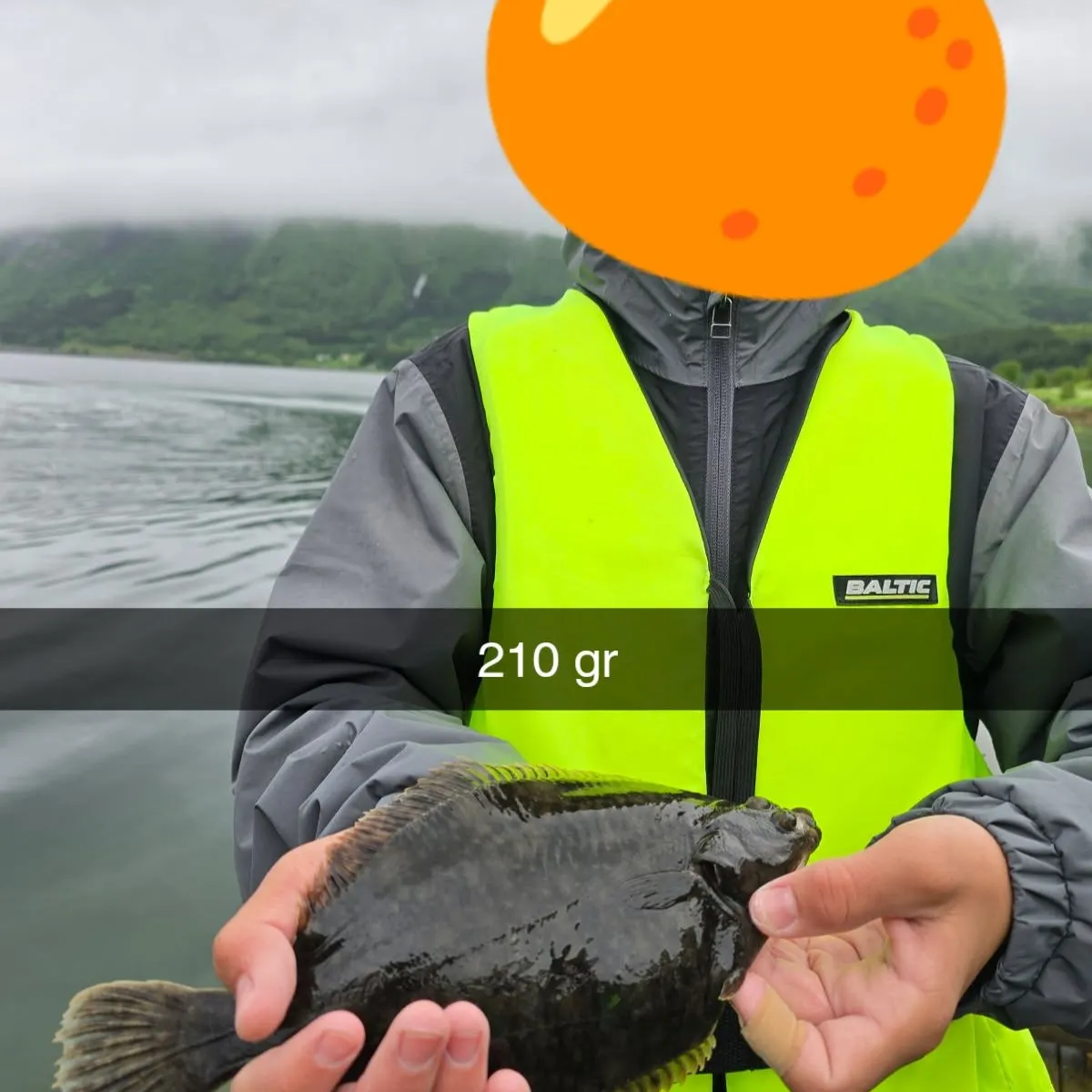 most liked catch image