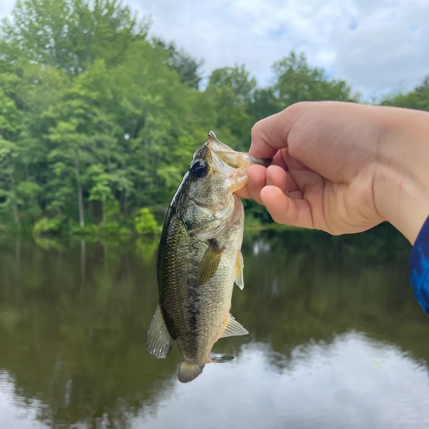 angler catch