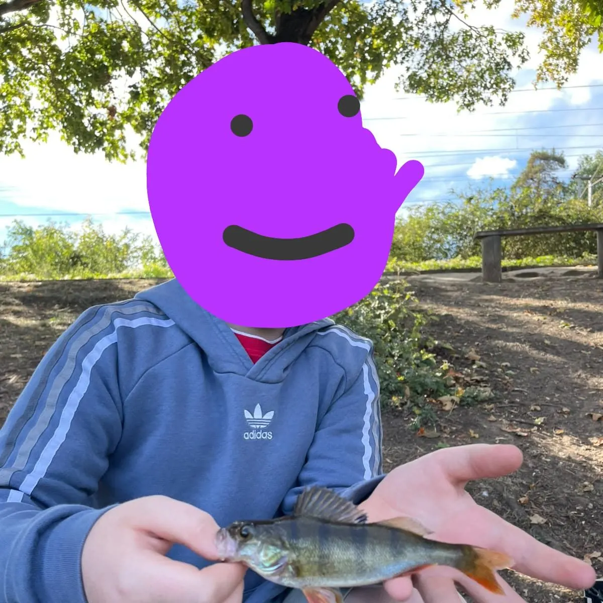 European perch caught on Fishbrain