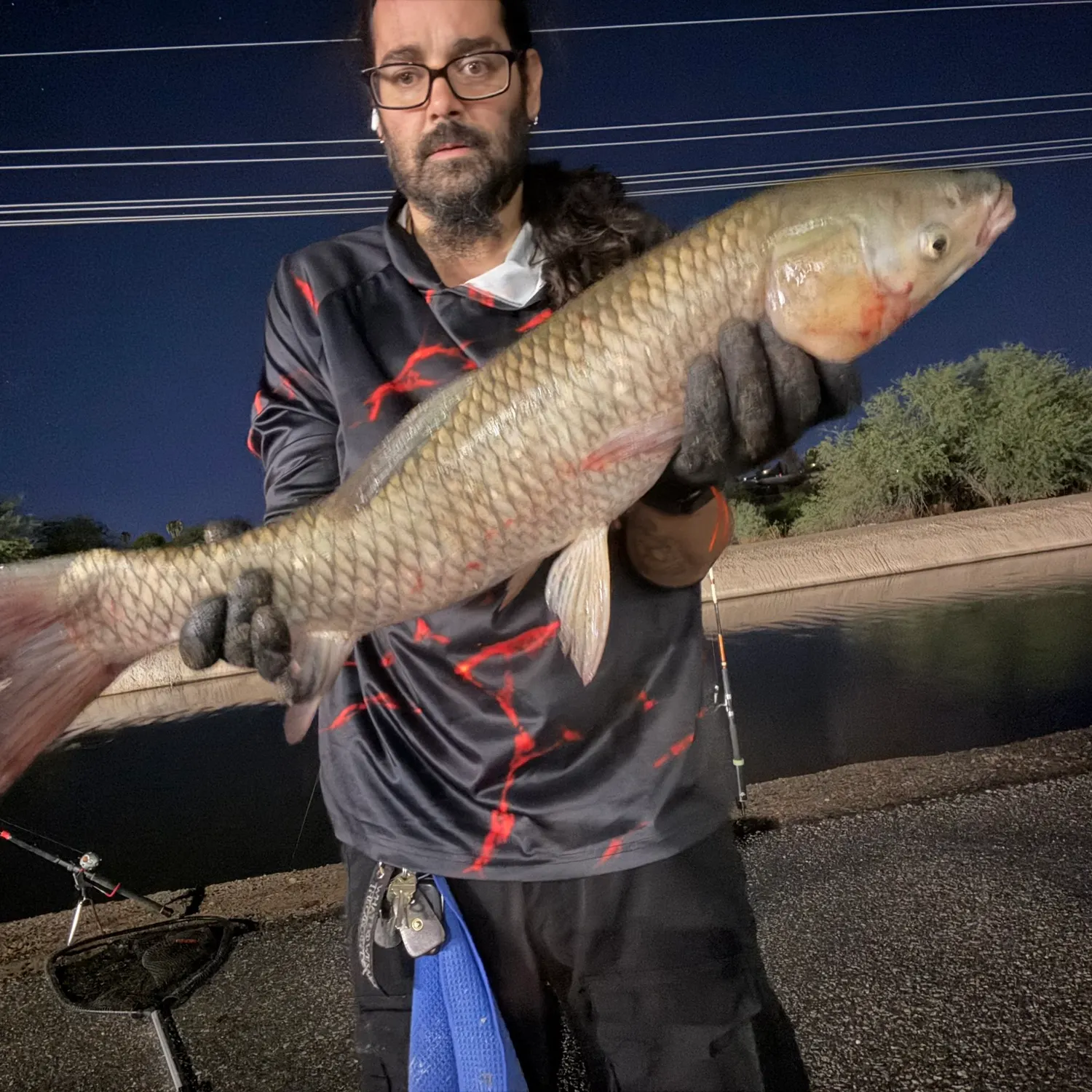Grass carp caught on Fishbrain