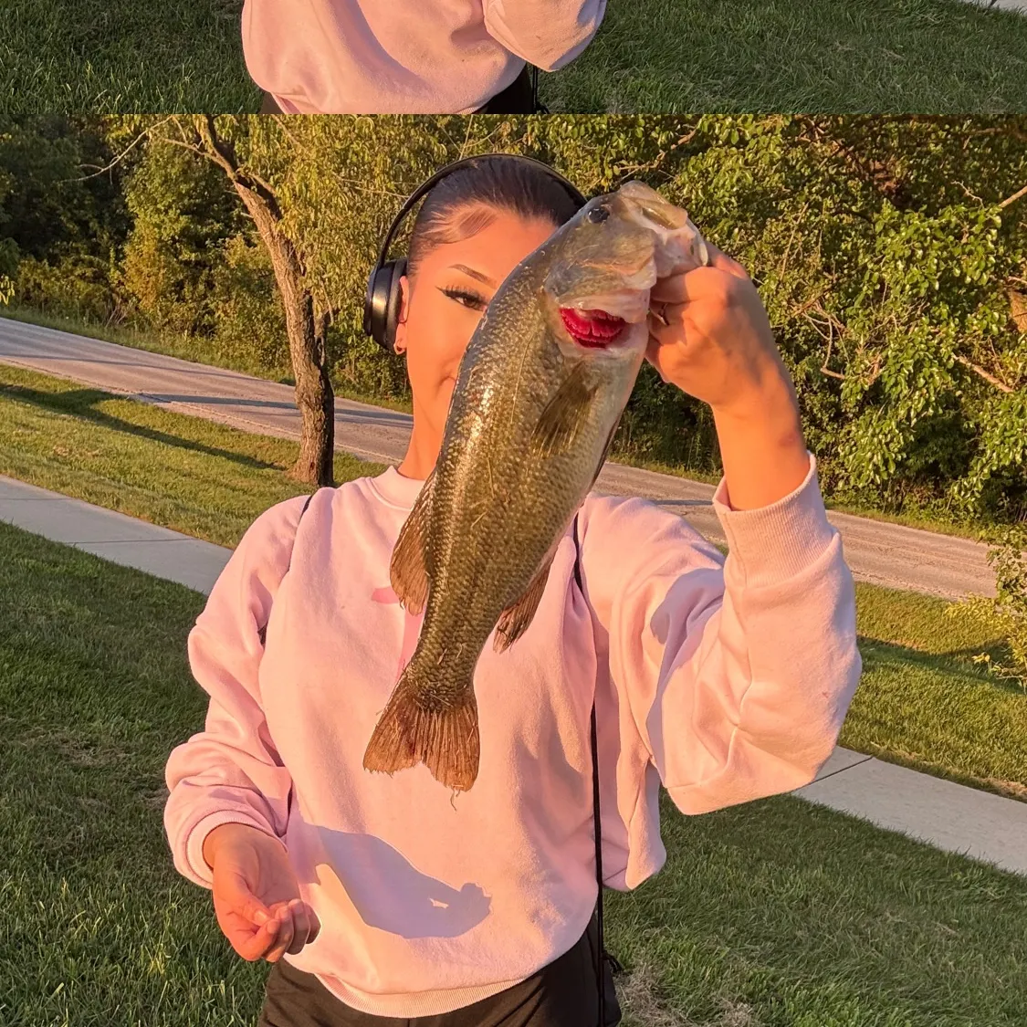Largemouth bass caught on Fishbrain