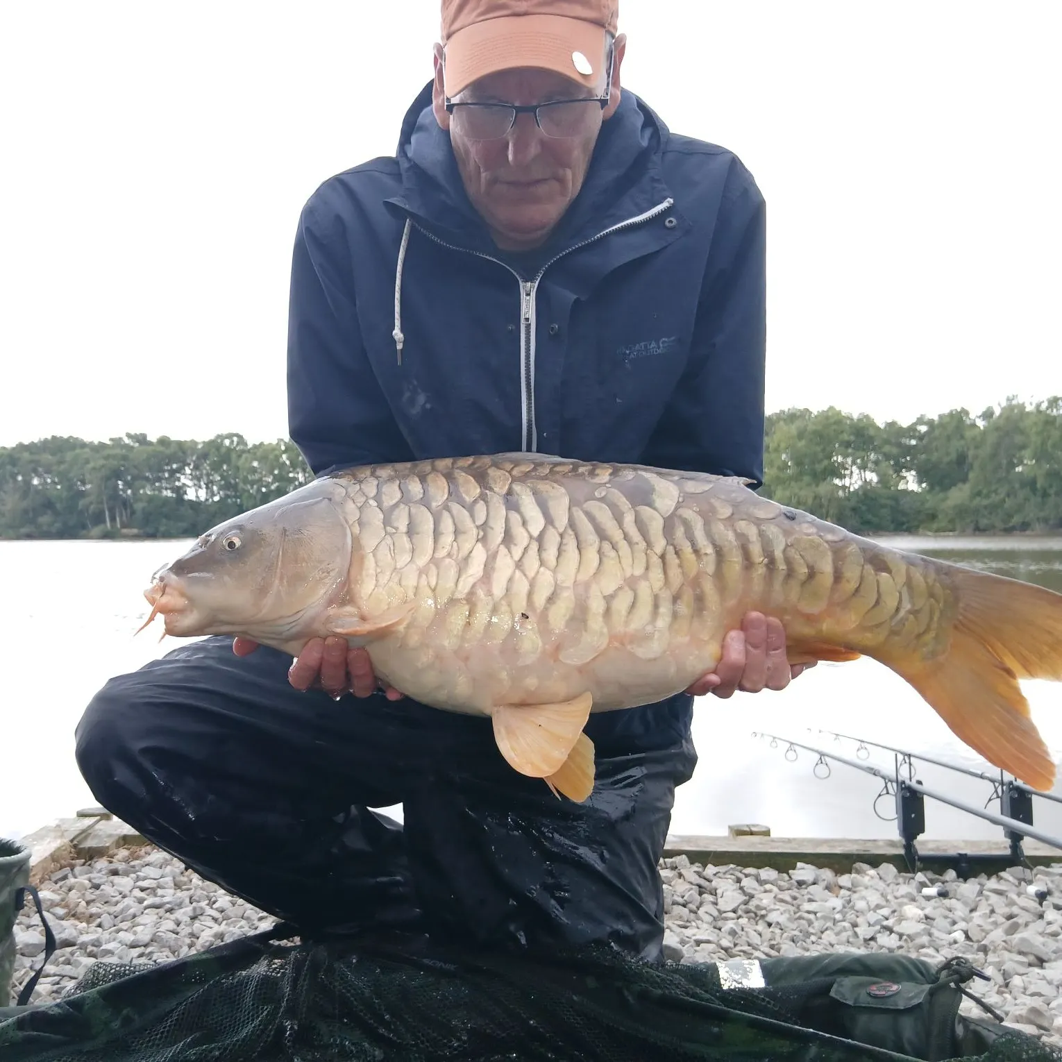 Mirror carp caught on Fishbrain