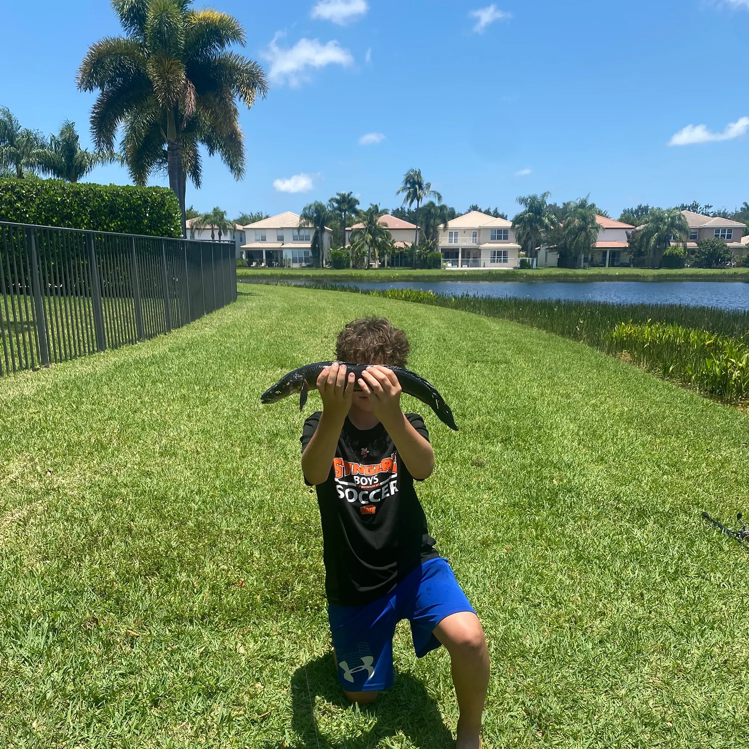 The most recent Small snakehead catches on Fishbrain