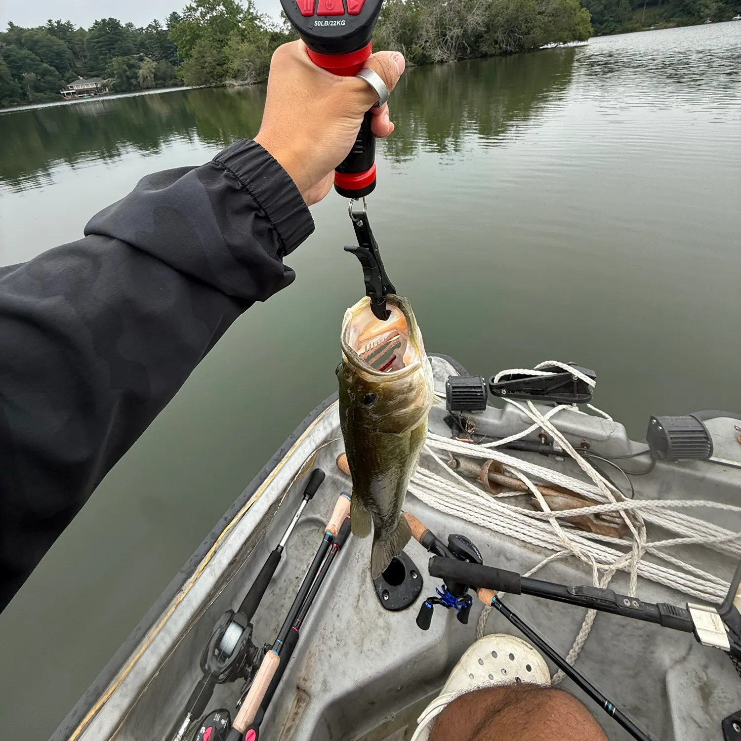 Fish caught on Fishbrain