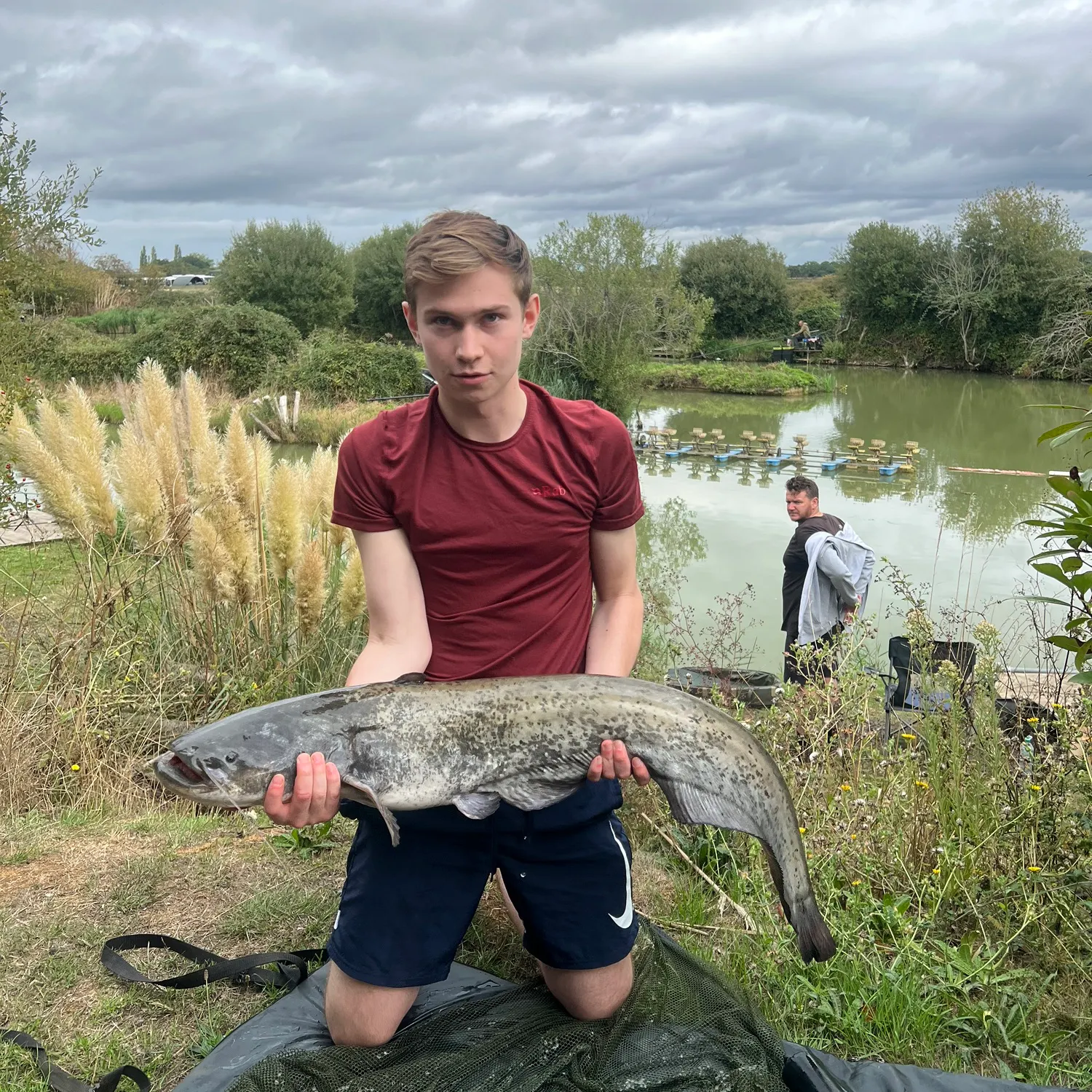 Wels catfish caught on Fishbrain