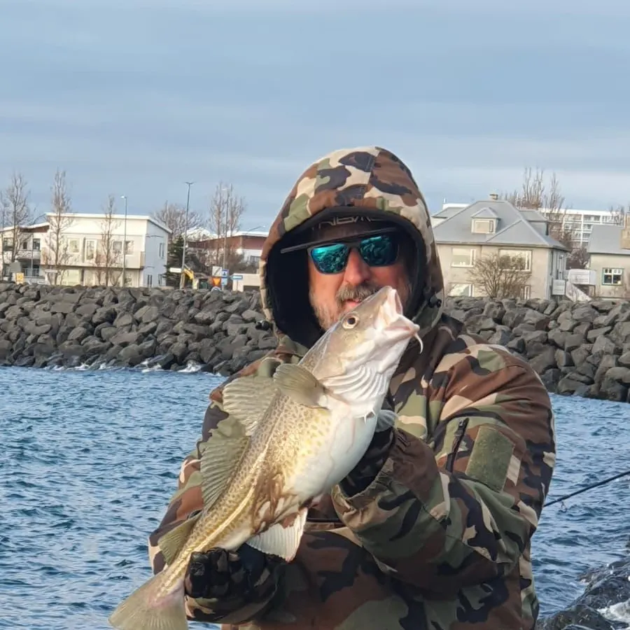 most liked catch image