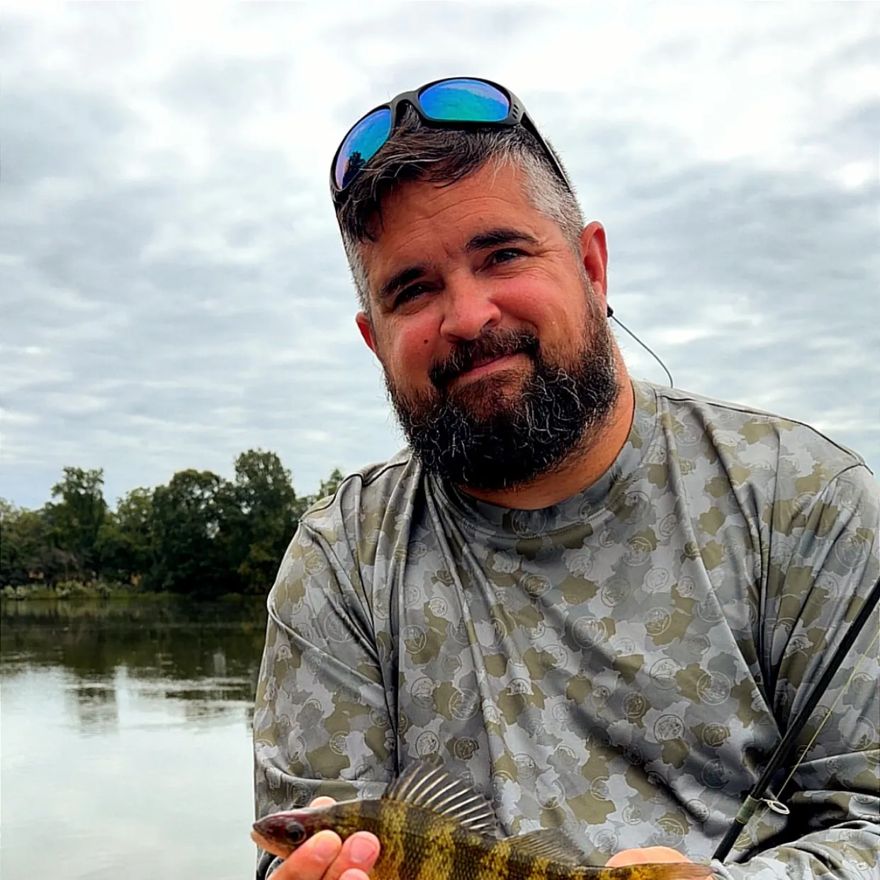 Yellow perch caught on Fishbrain