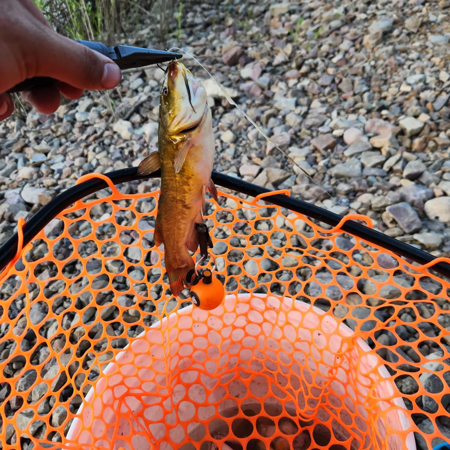 catch