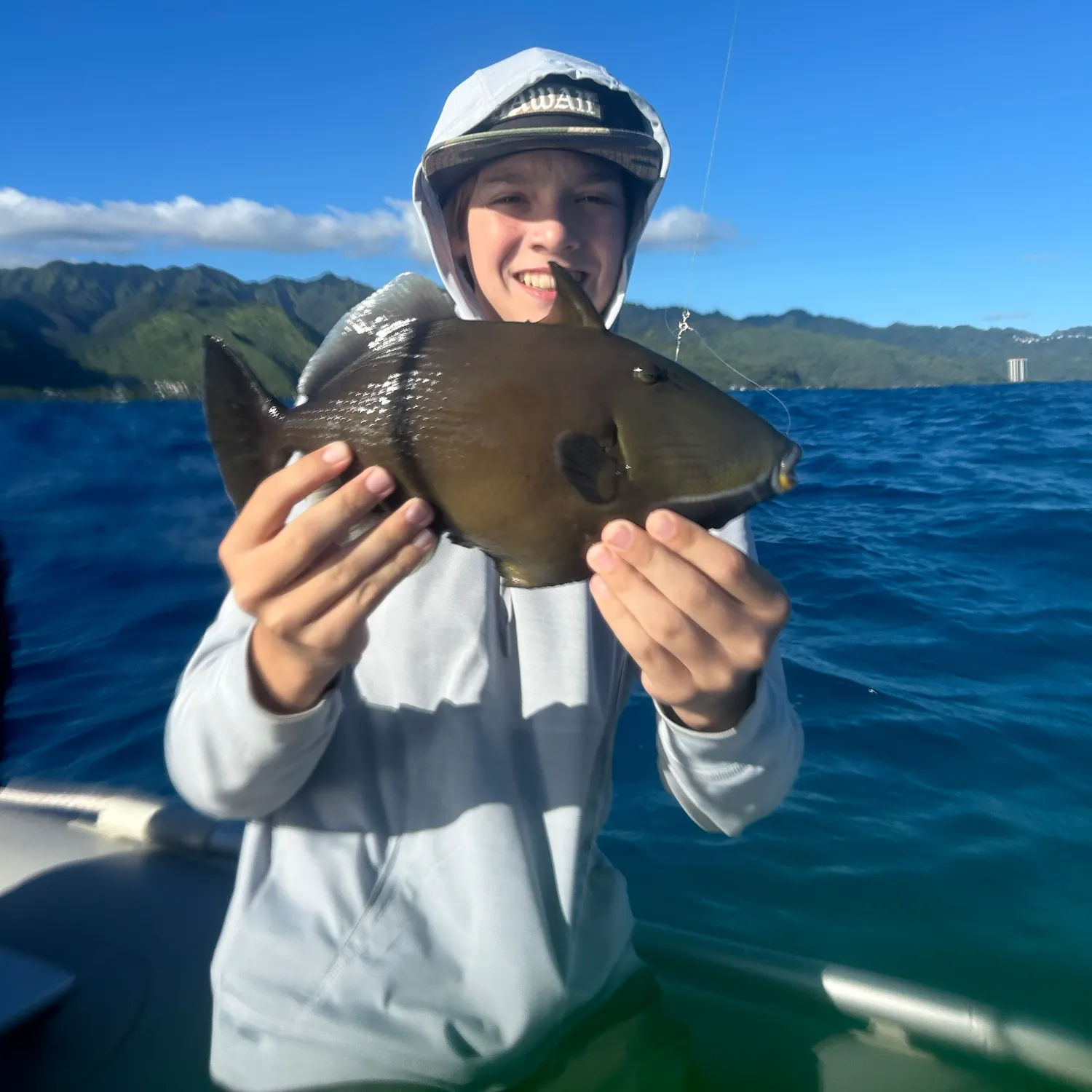 Bridled triggerfish caught on Fishbrain