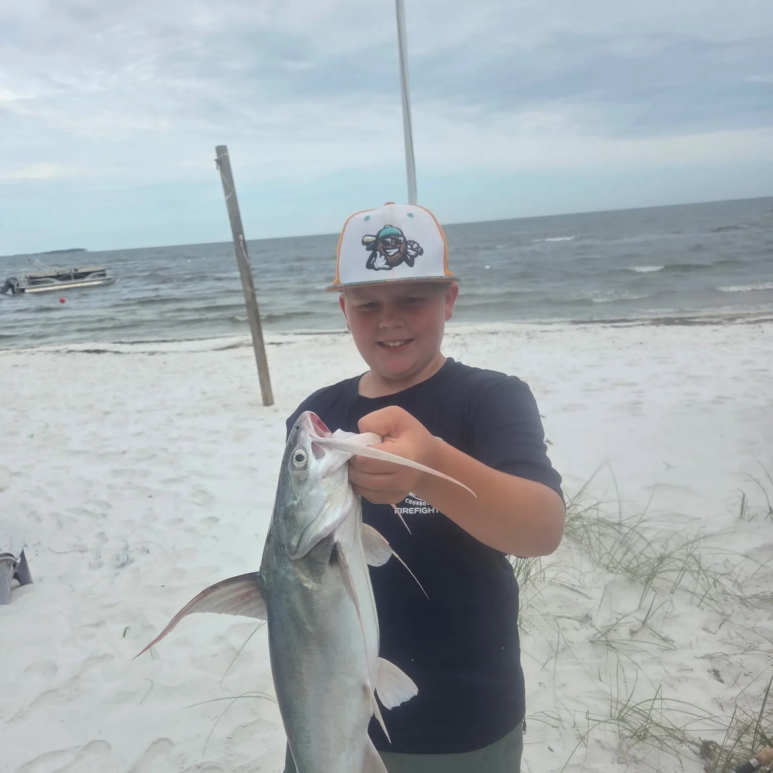 The most recent Coco sea catfish catches on Fishbrain