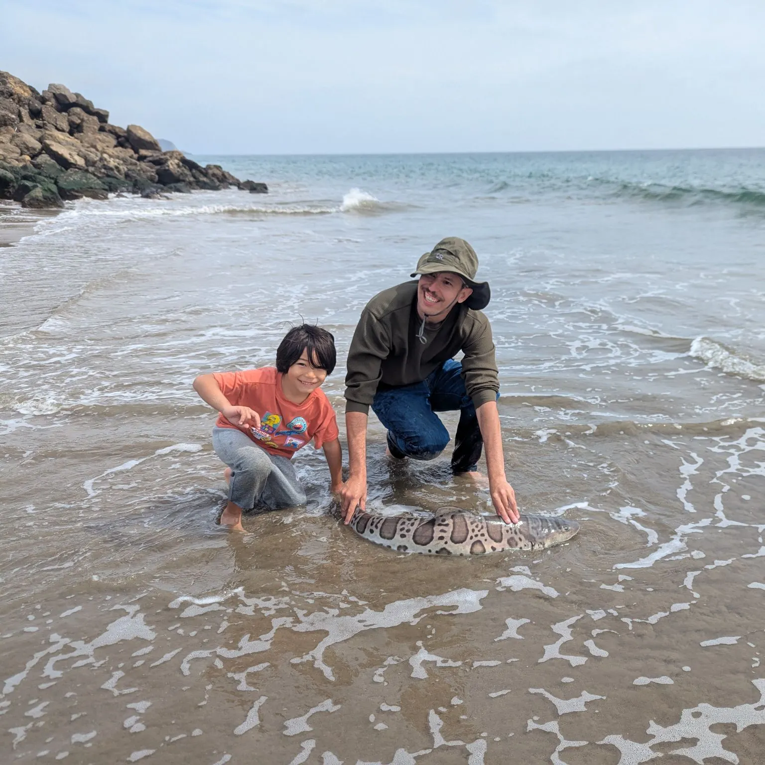 Leopard shark caught on Fishbrain