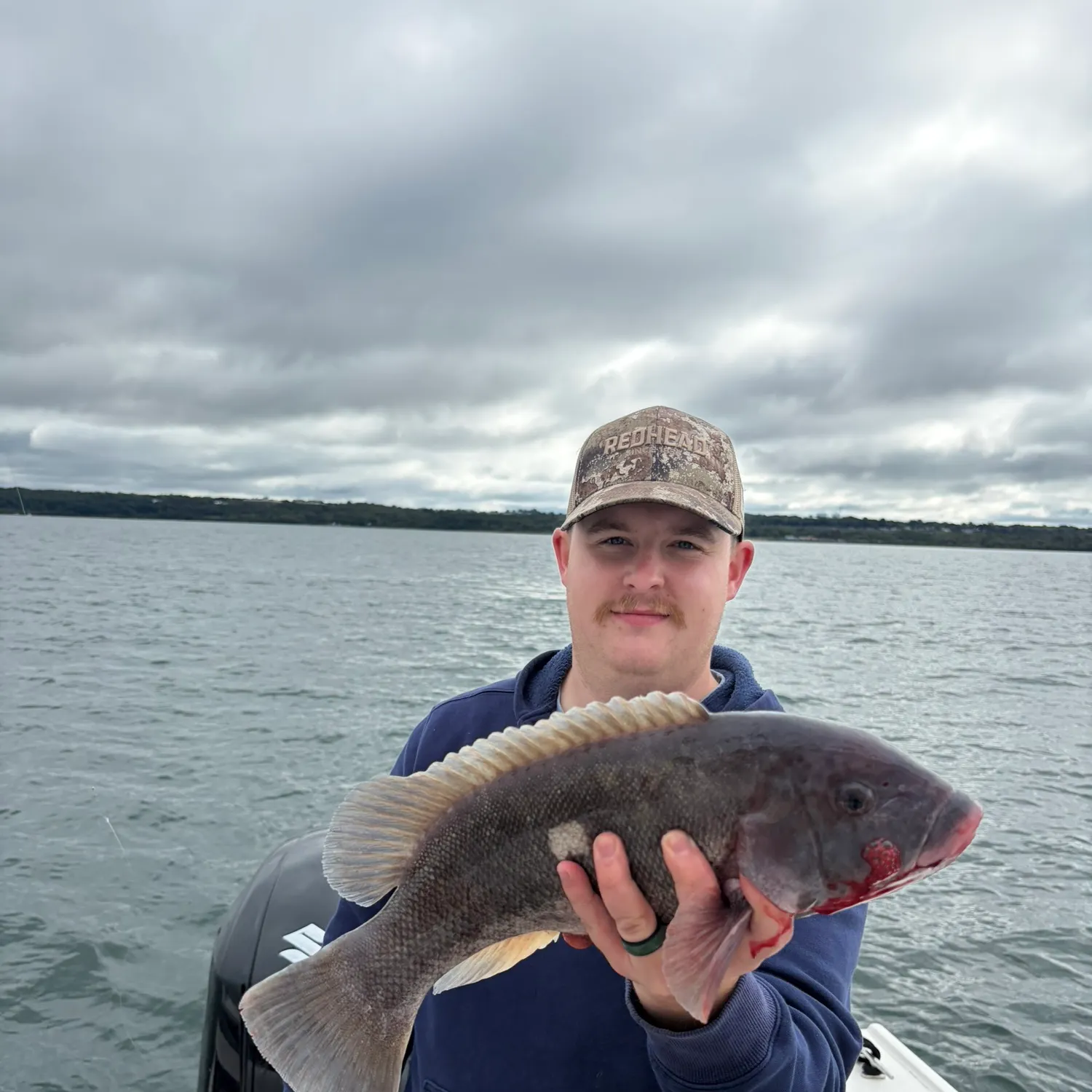 Tautog caught on Fishbrain