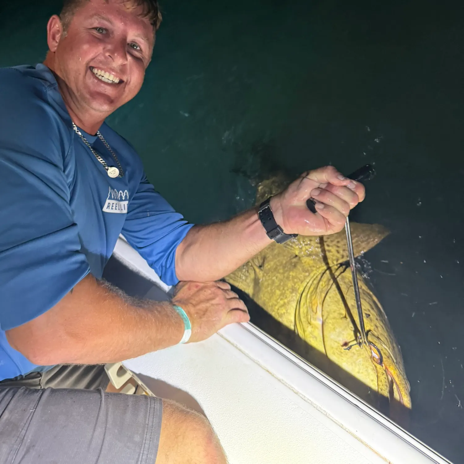 The most recent Atlantic goliath grouper catches on Fishbrain