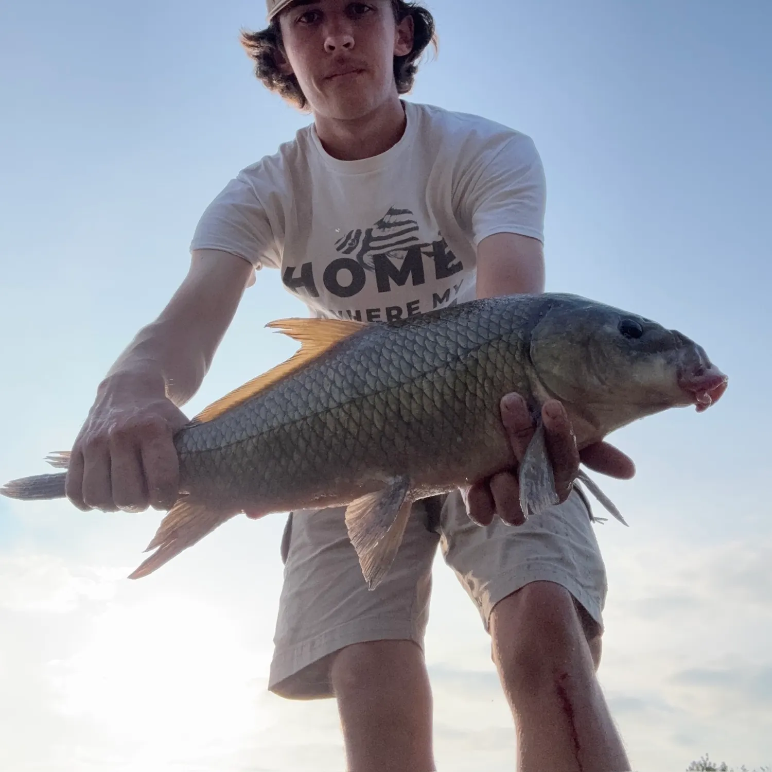 The most recent Smallmouth buffalo catches on Fishbrain