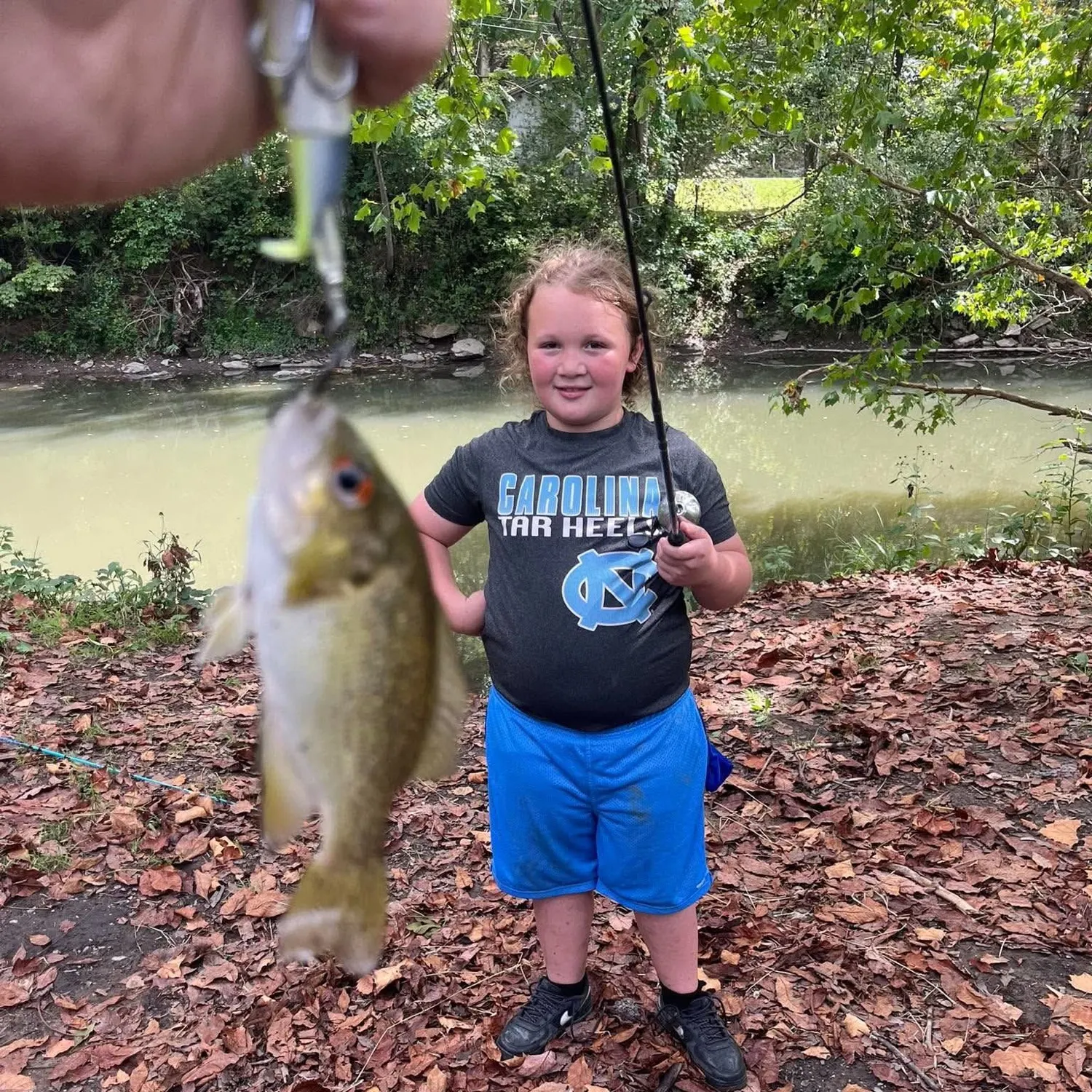Rock bass caught on Fishbrain