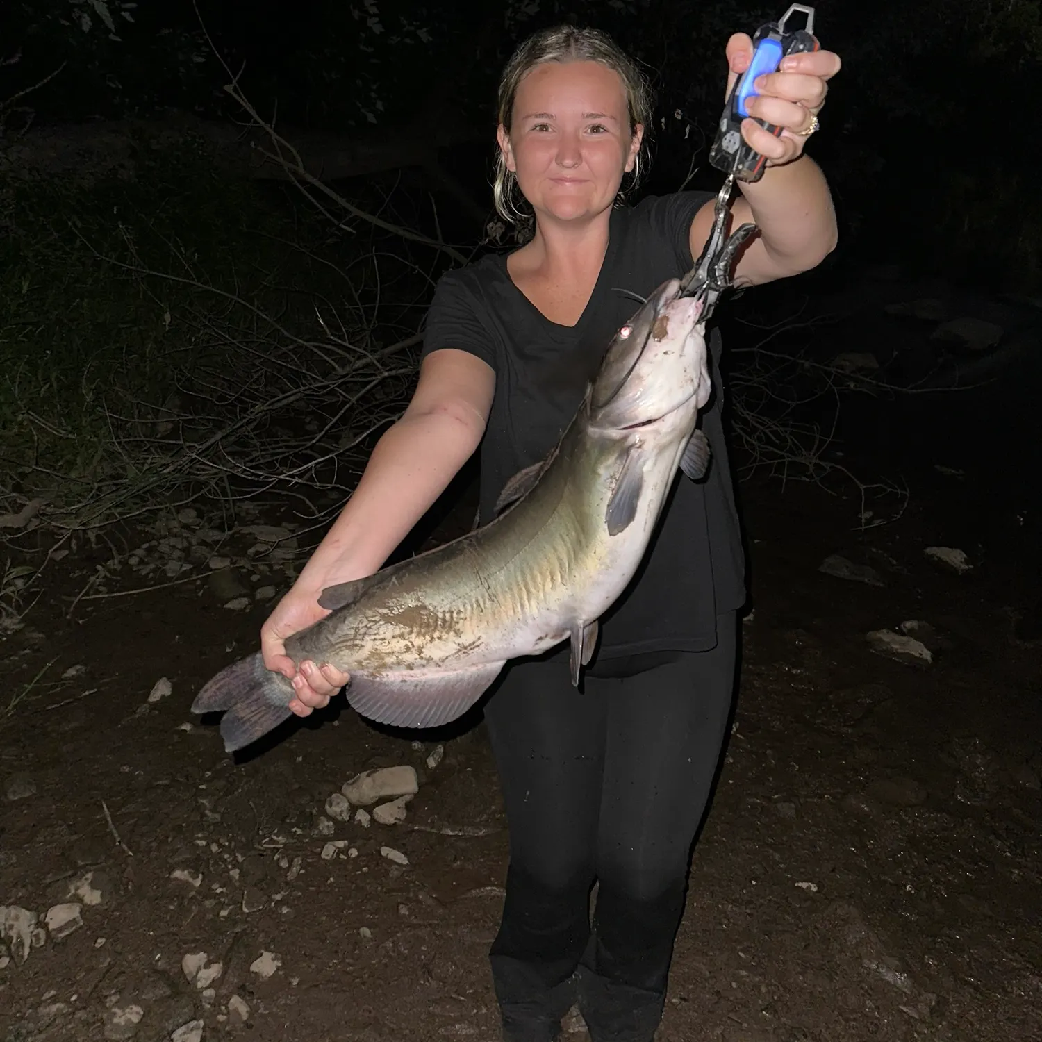 Channel catfish caught on Fishbrain