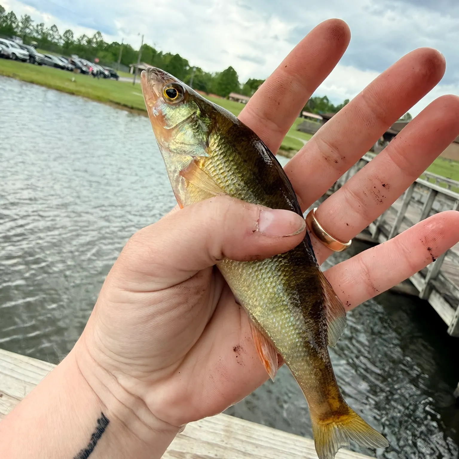 catch