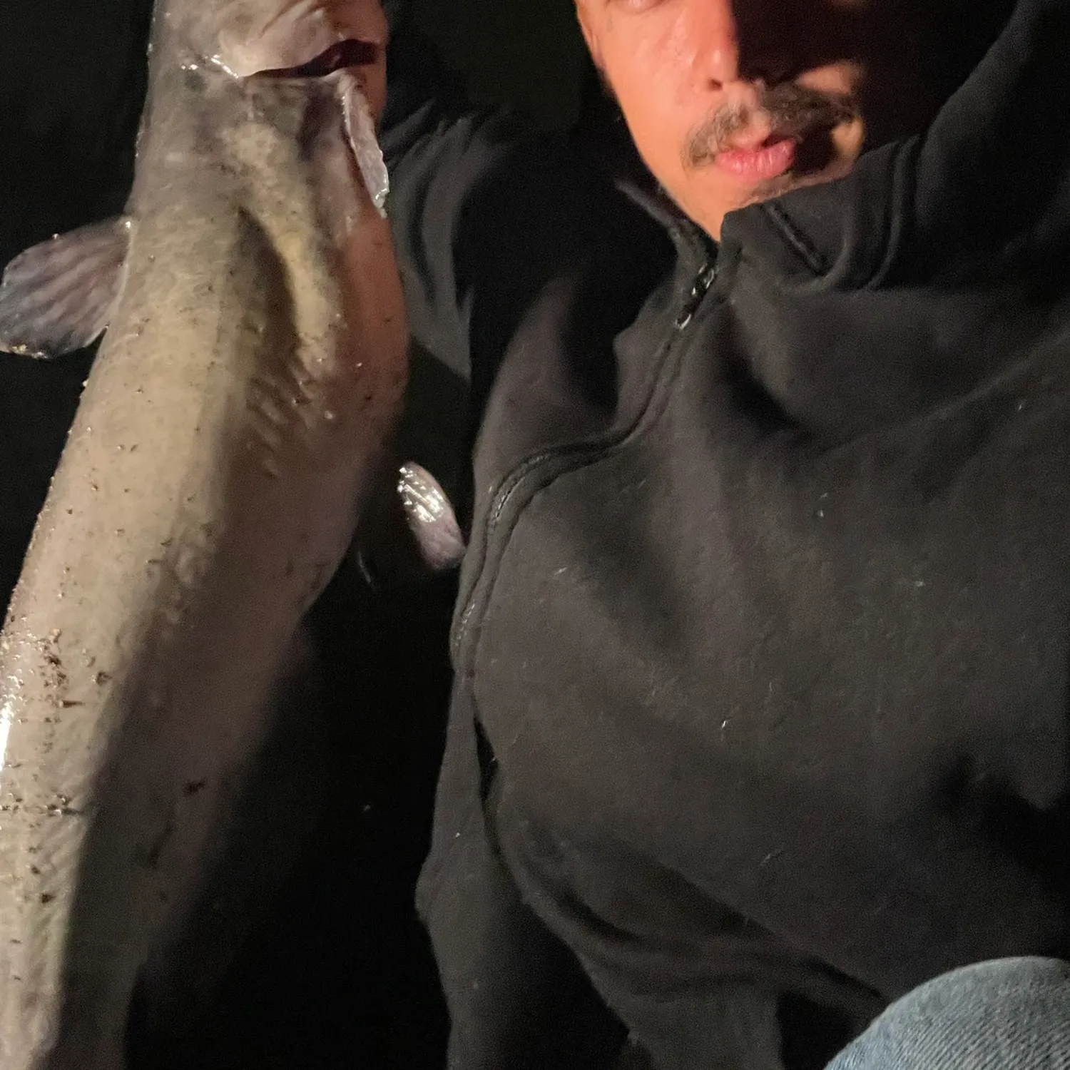 Channel catfish caught on Fishbrain