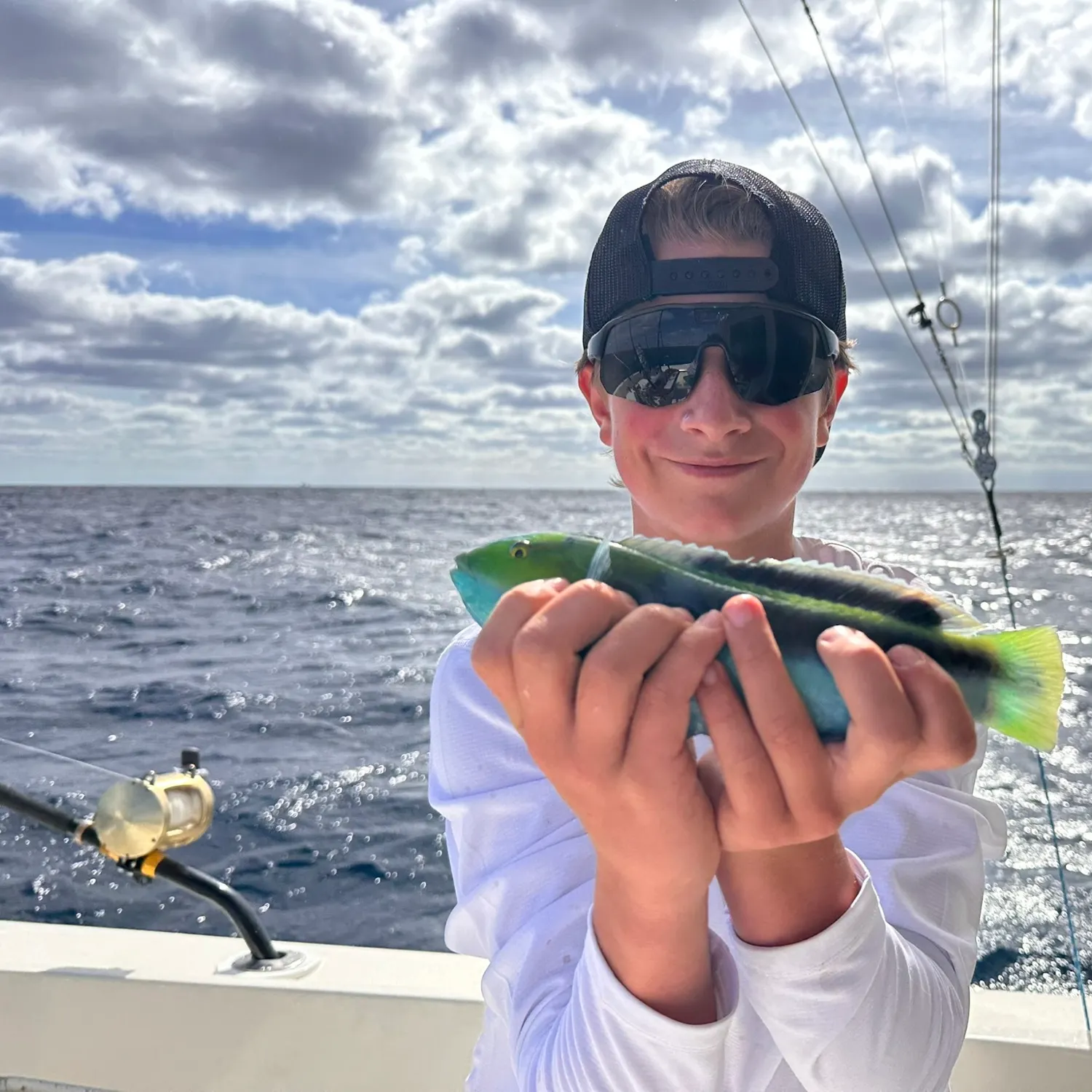The most recent Yellowhead wrasse catches on Fishbrain