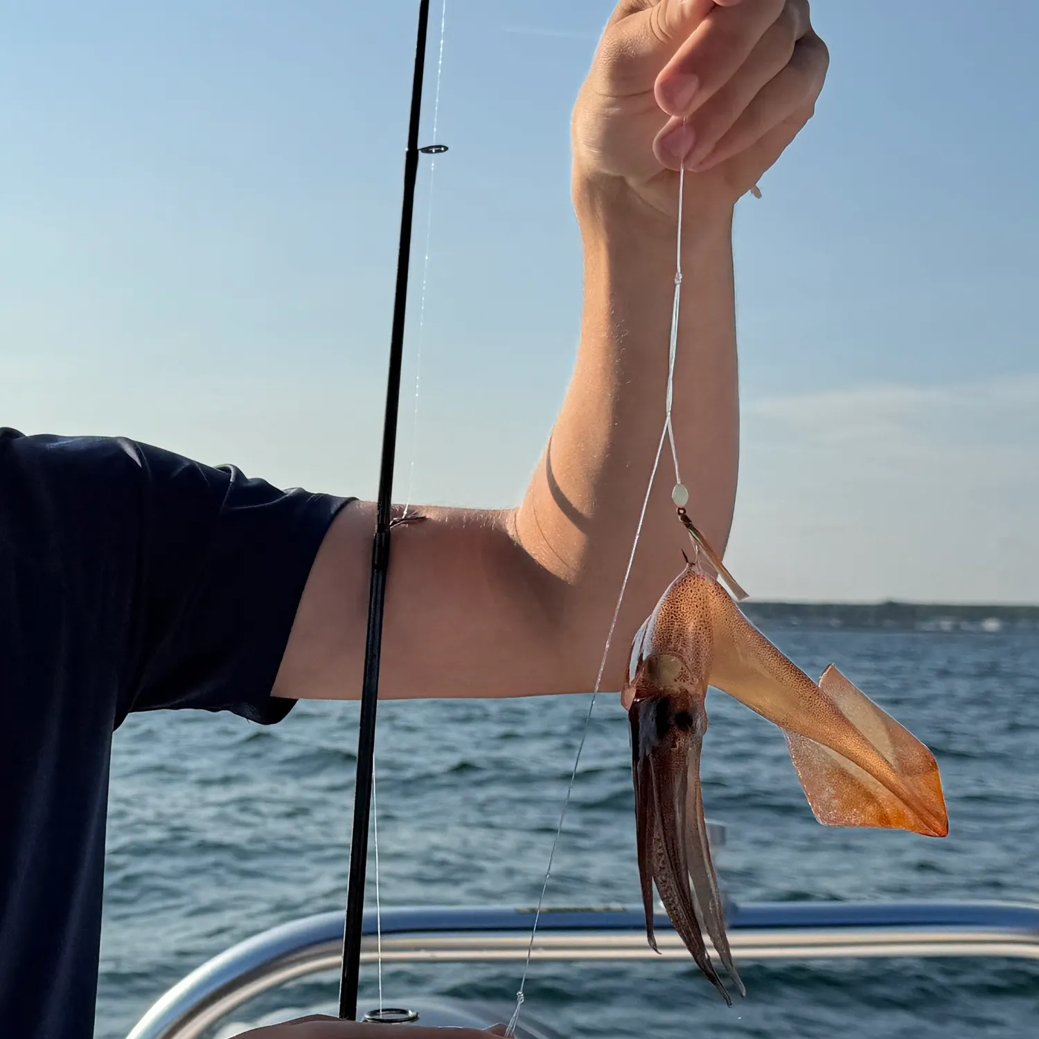 The most recent Longfin inshore squid catches on Fishbrain
