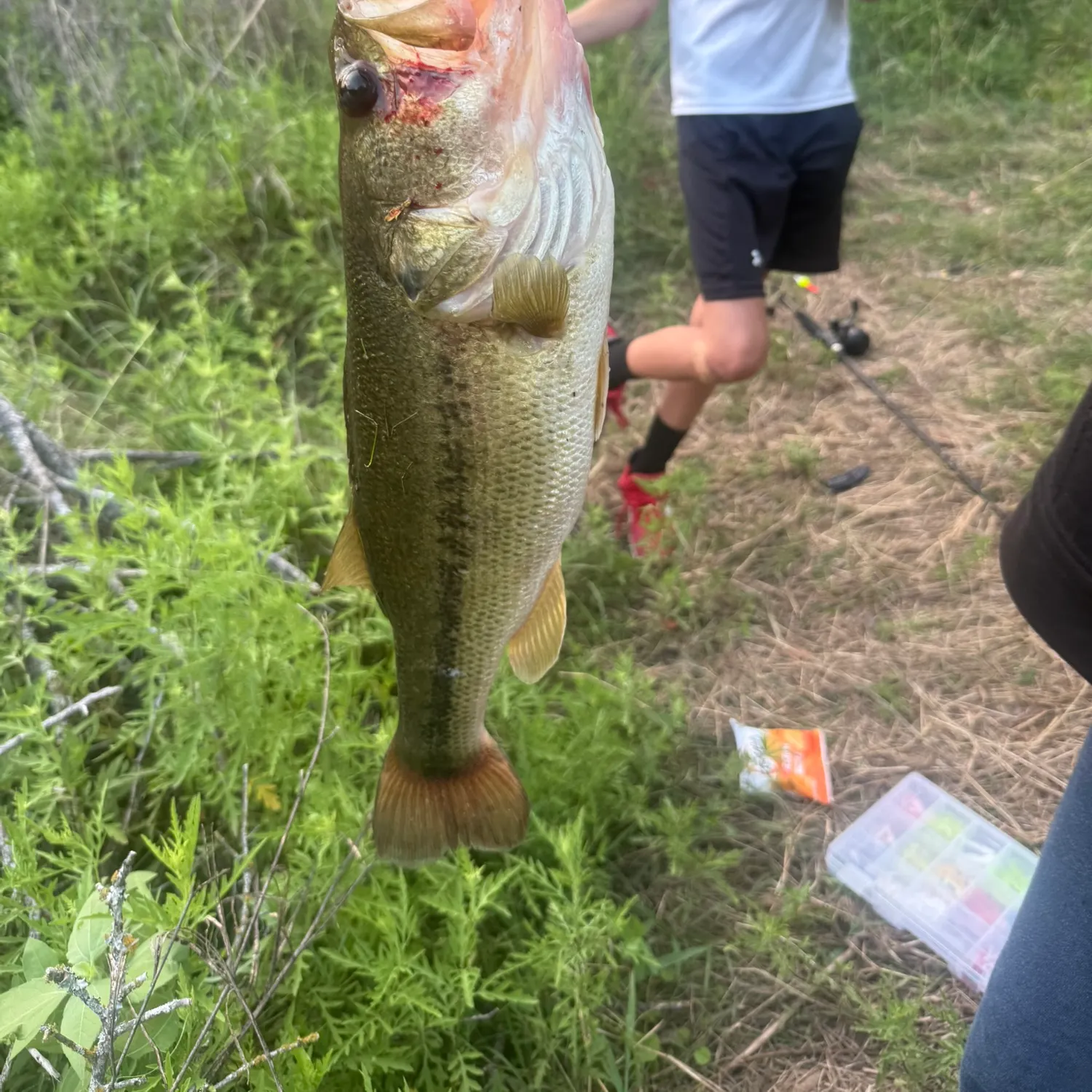 angler catch