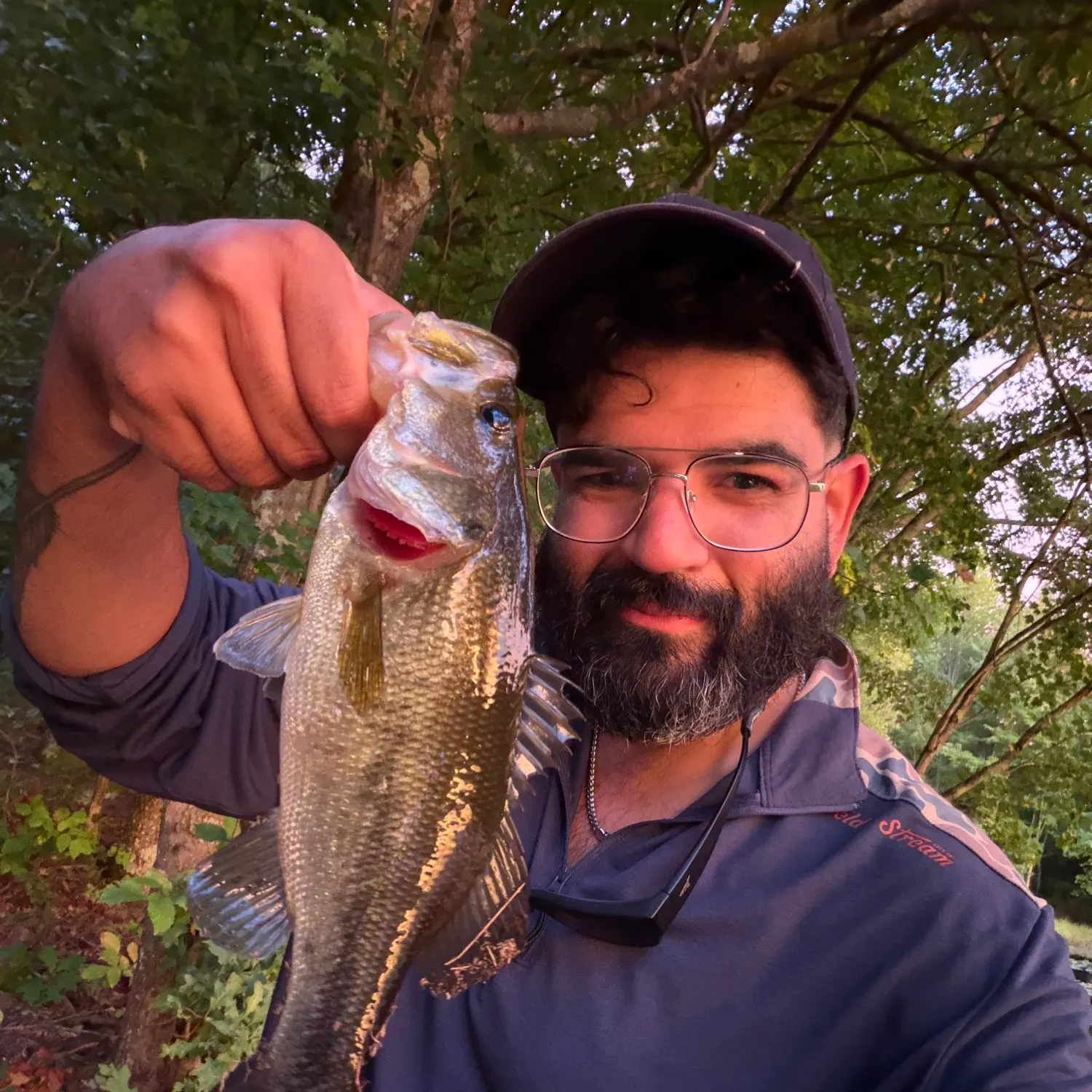 Largemouth bass caught on Fishbrain