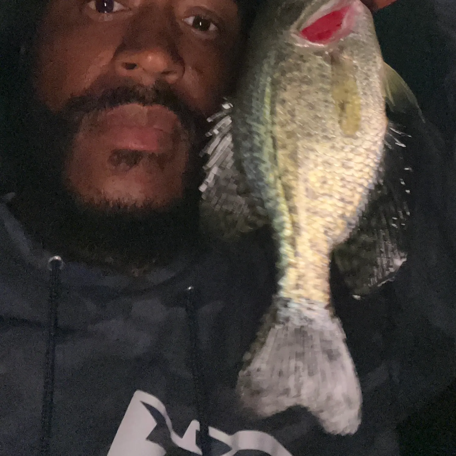 Black crappie caught on Fishbrain