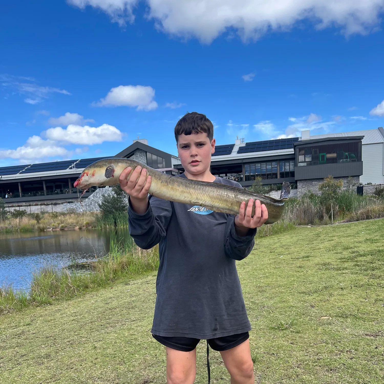 The most recent Giant mottled eel catches on Fishbrain