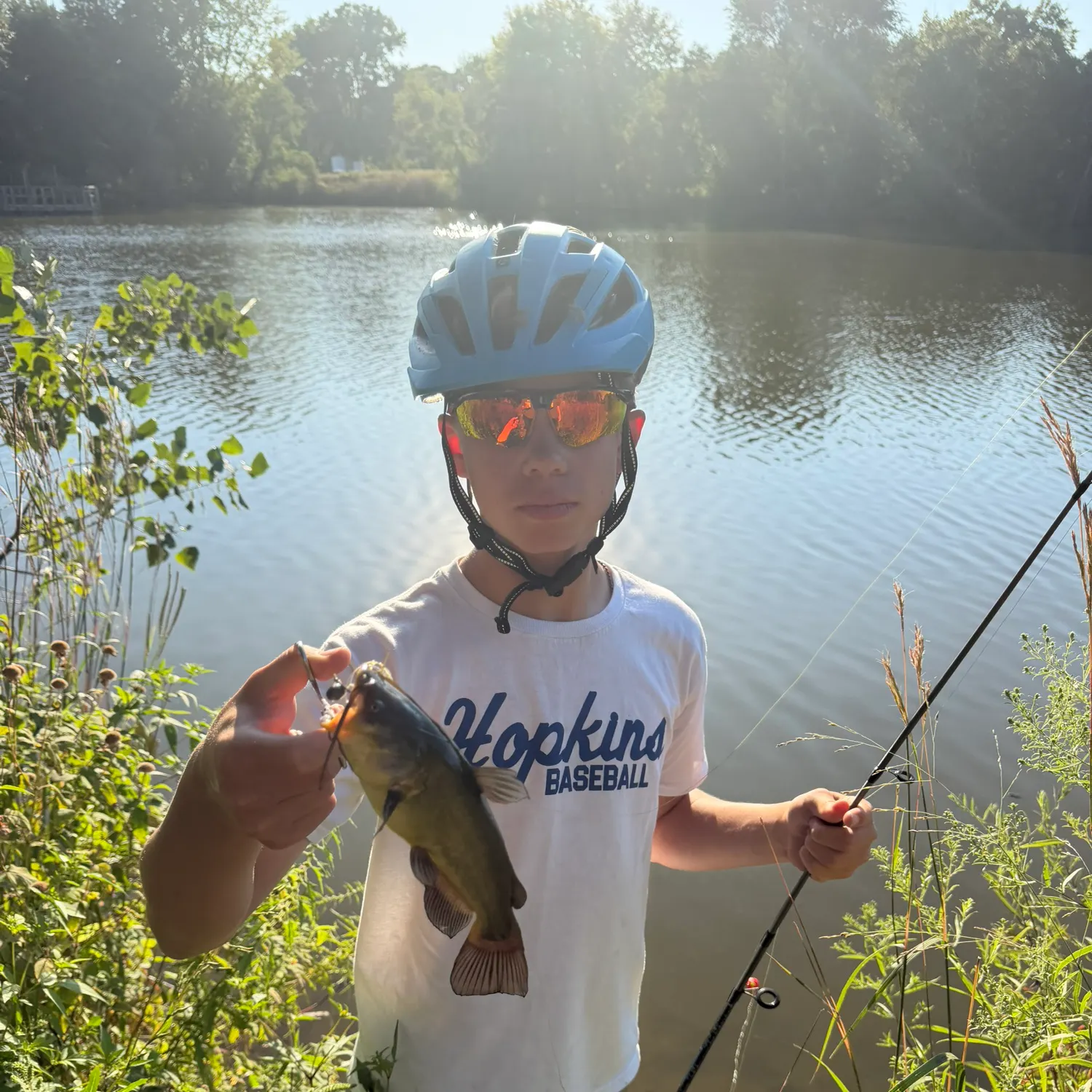 Yellow bullhead caught on Fishbrain