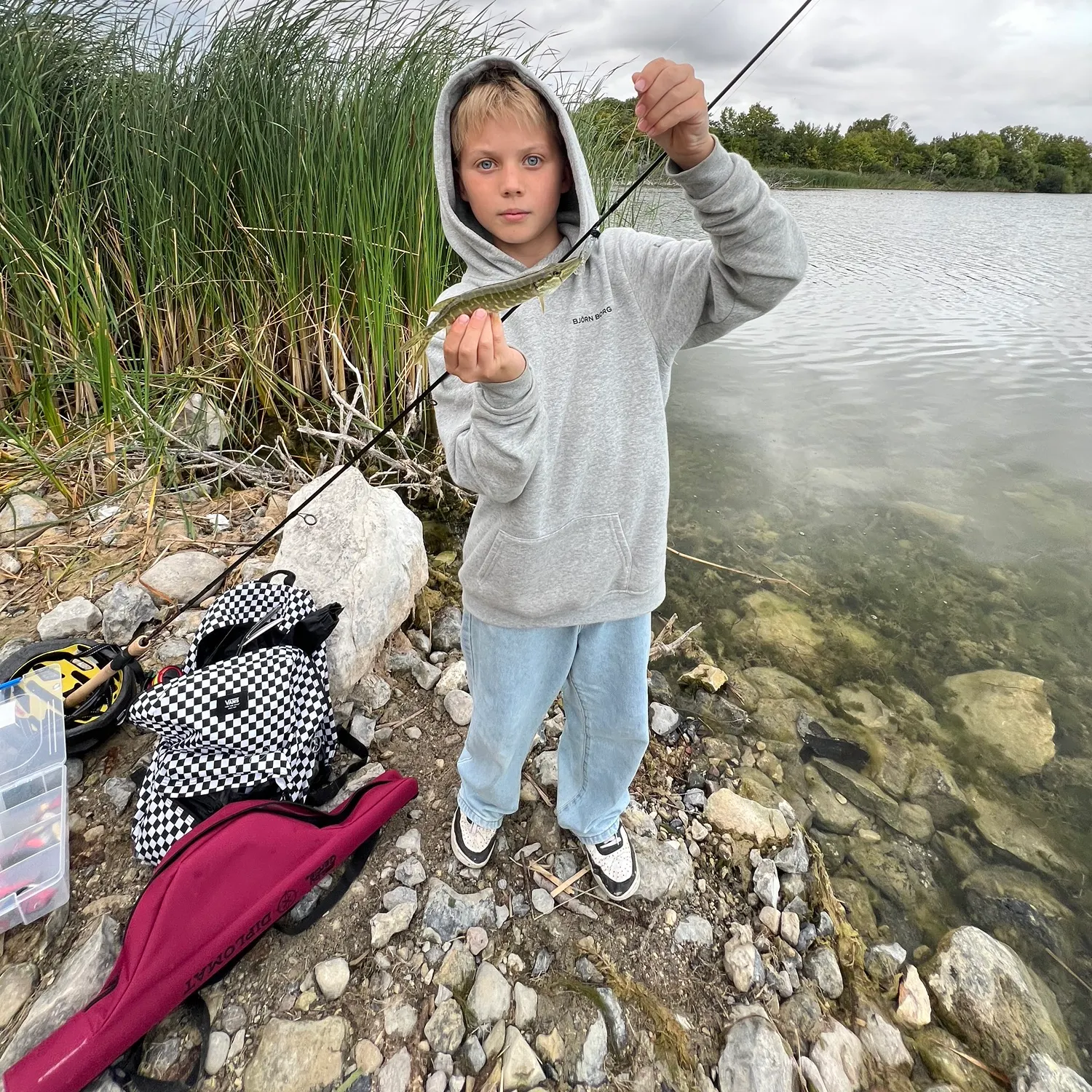 Northern pike caught on Fishbrain