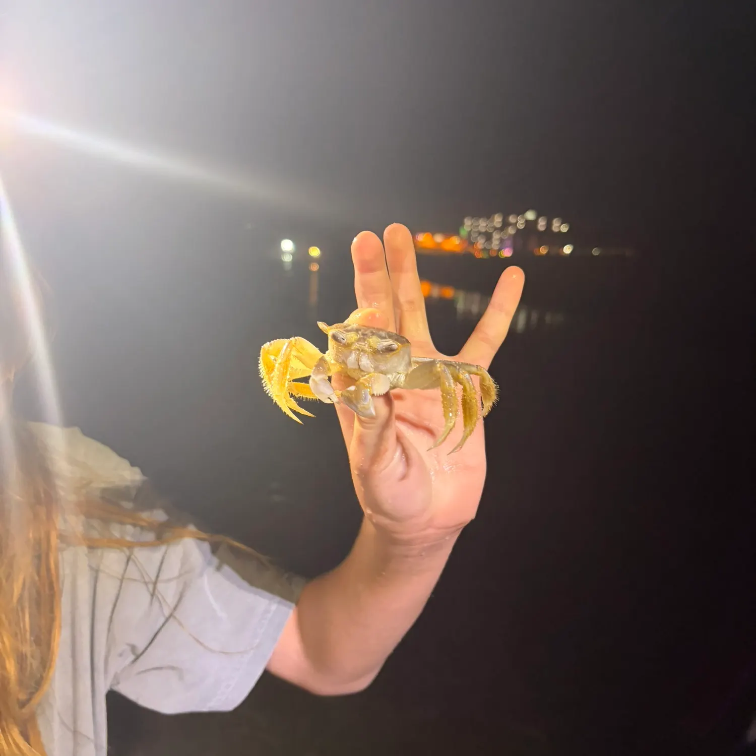 Fish caught on Fishbrain