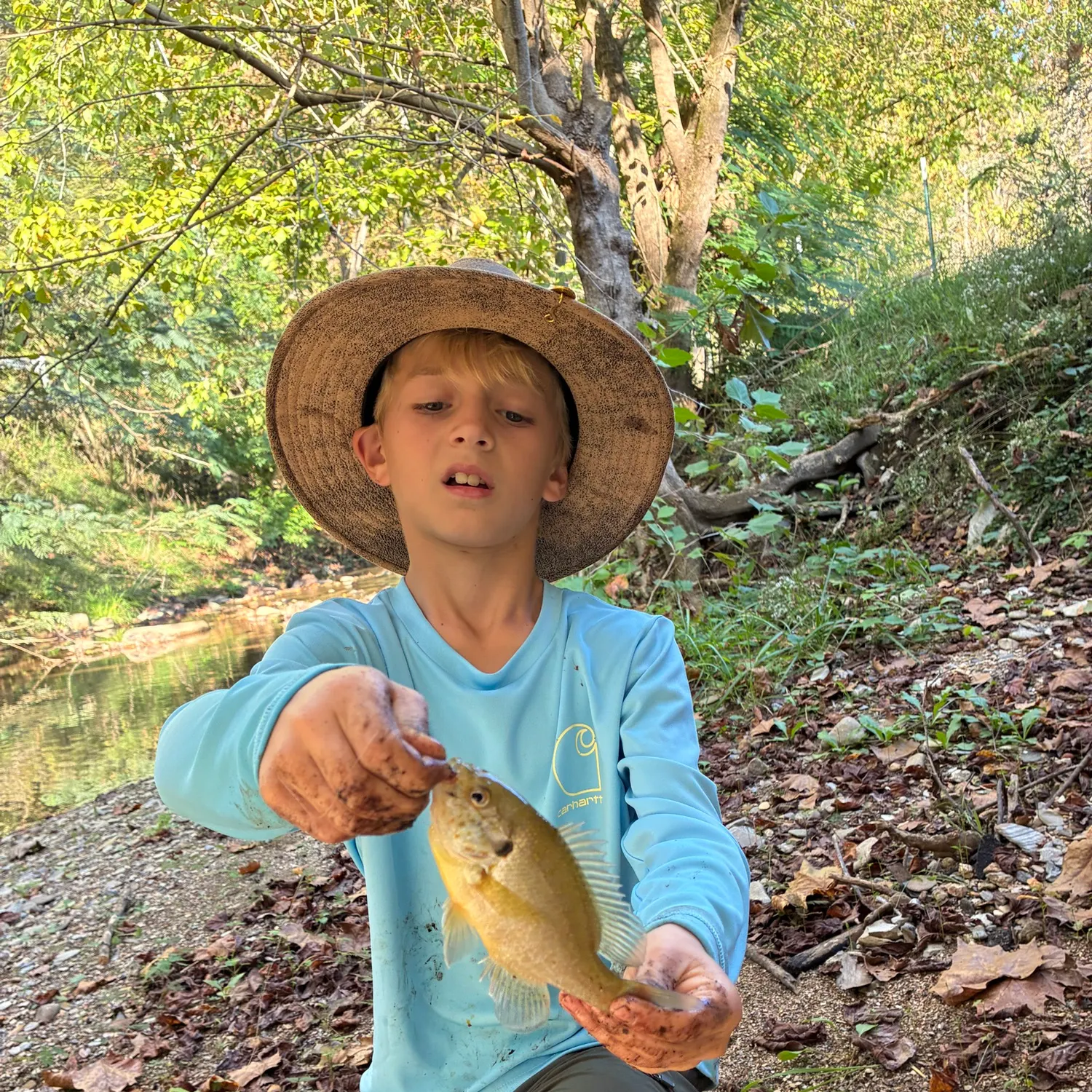Redbreast sunfish caught on Fishbrain