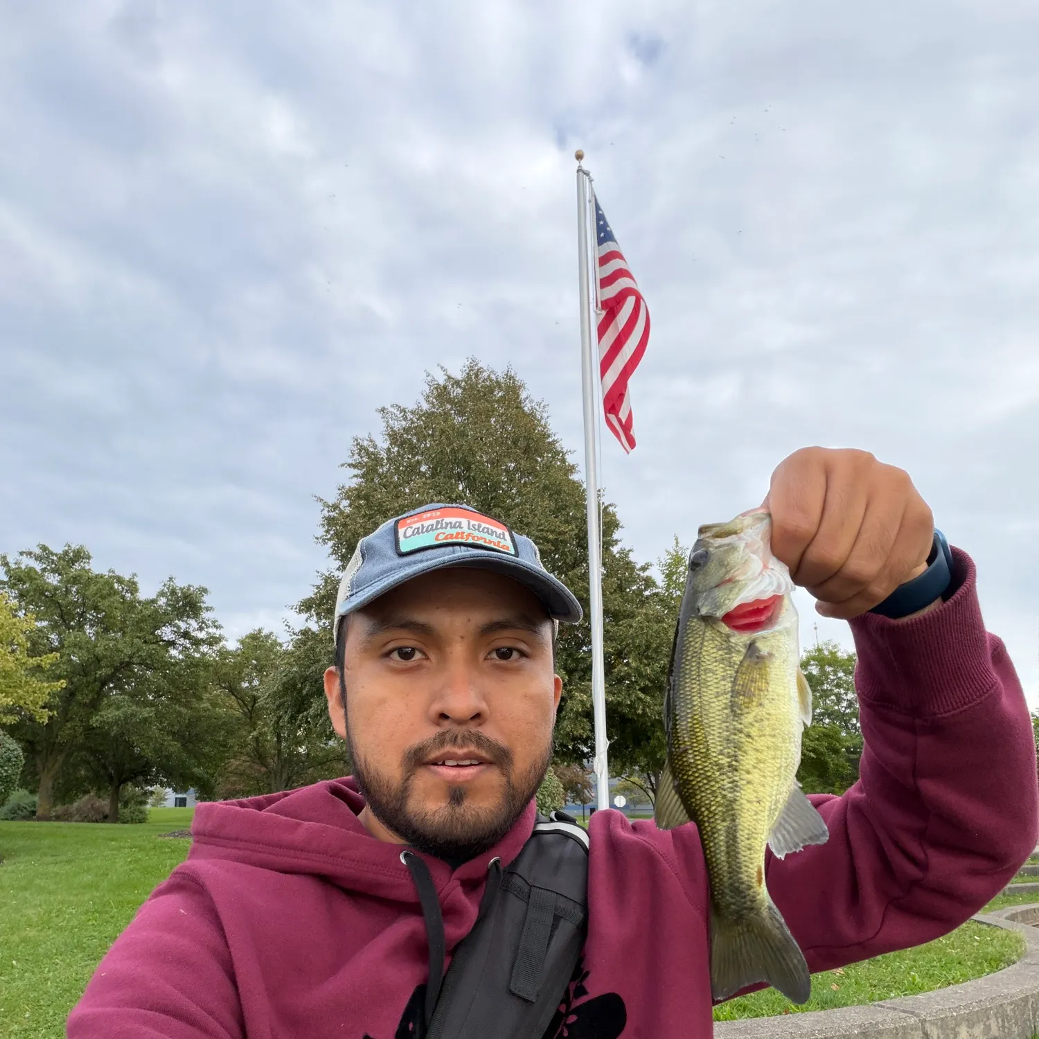 Largemouth bass caught on Fishbrain
