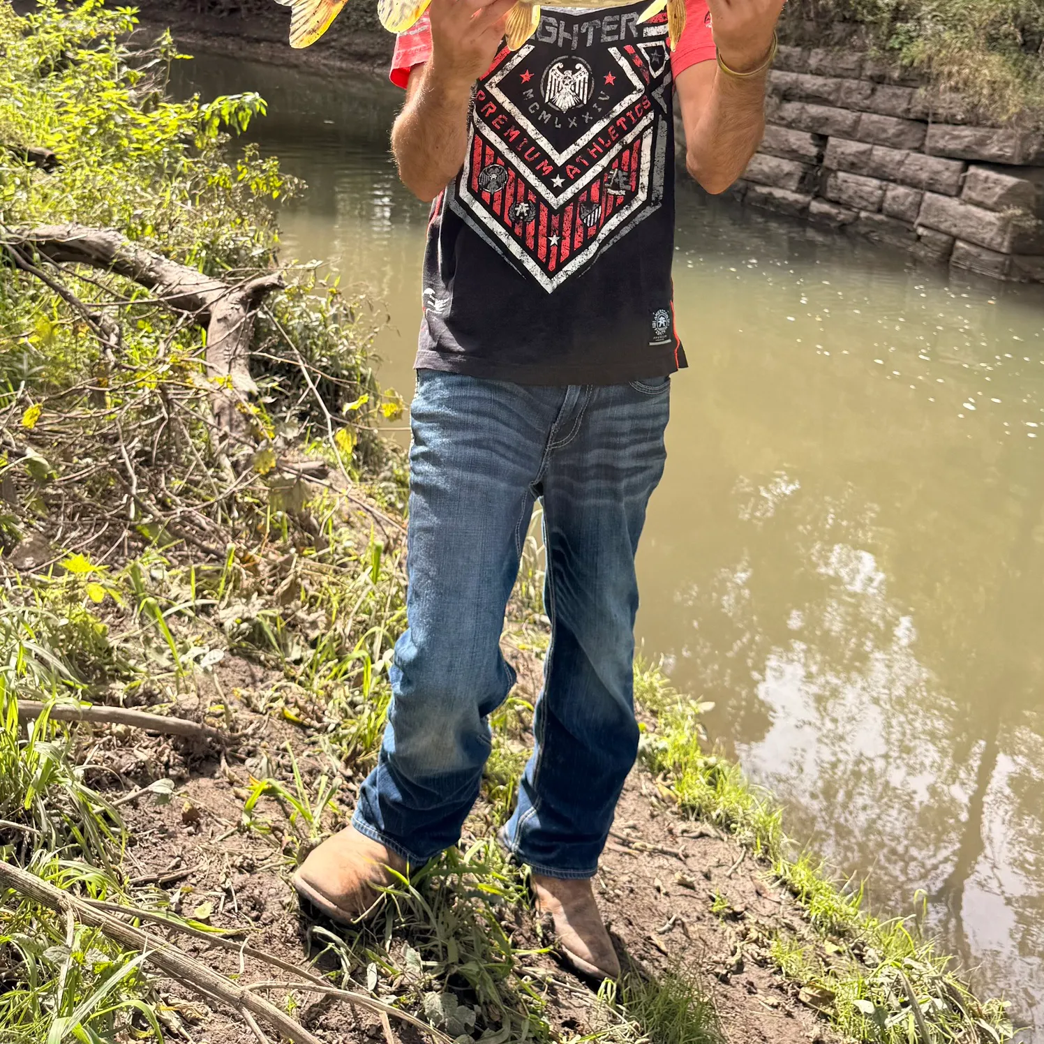 Northern pike caught on Fishbrain
