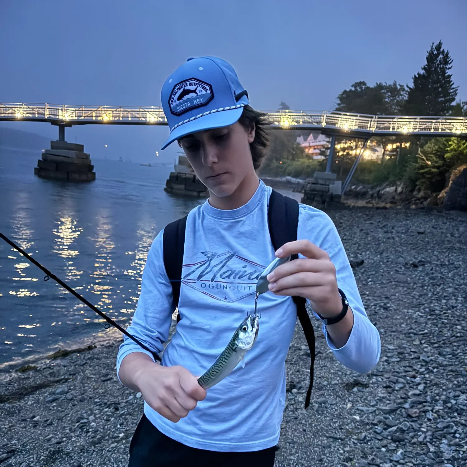 The most recent Atlantic mackerel catches on Fishbrain