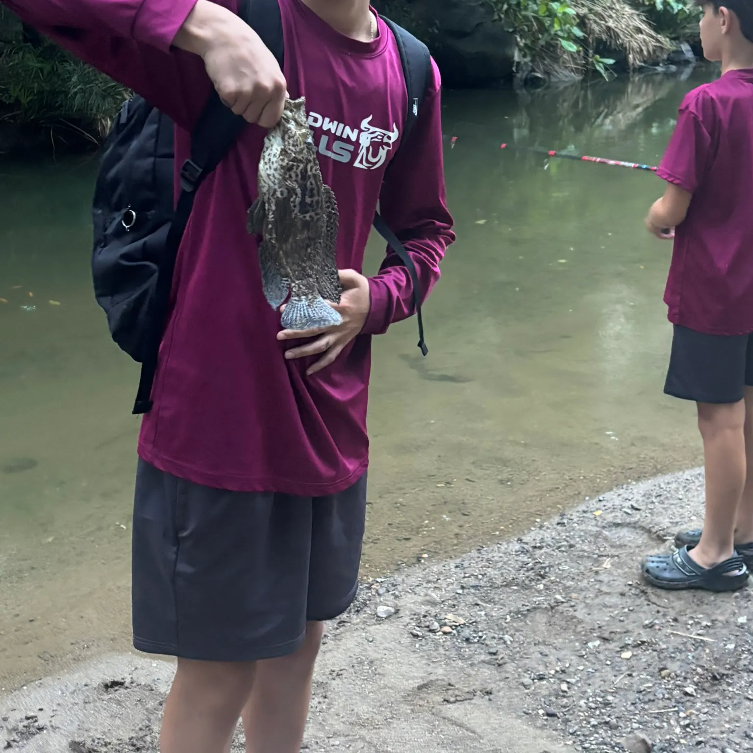 The most recent Jaguar cichlid catches on Fishbrain