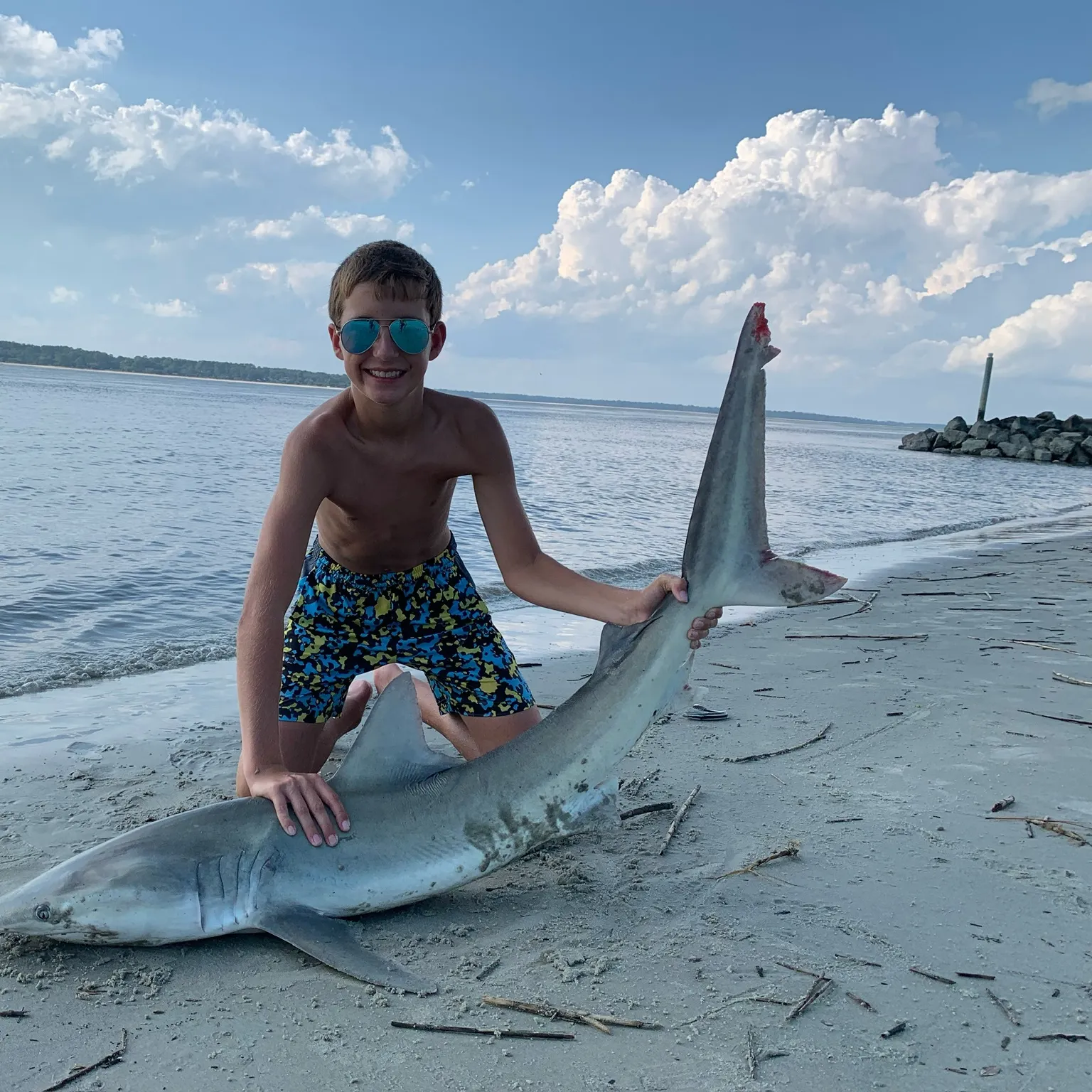 The most recent Finetooth shark catches on Fishbrain