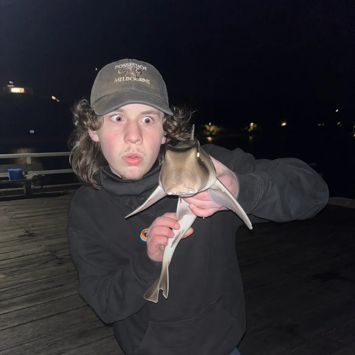 Port Jackson shark caught on Fishbrain