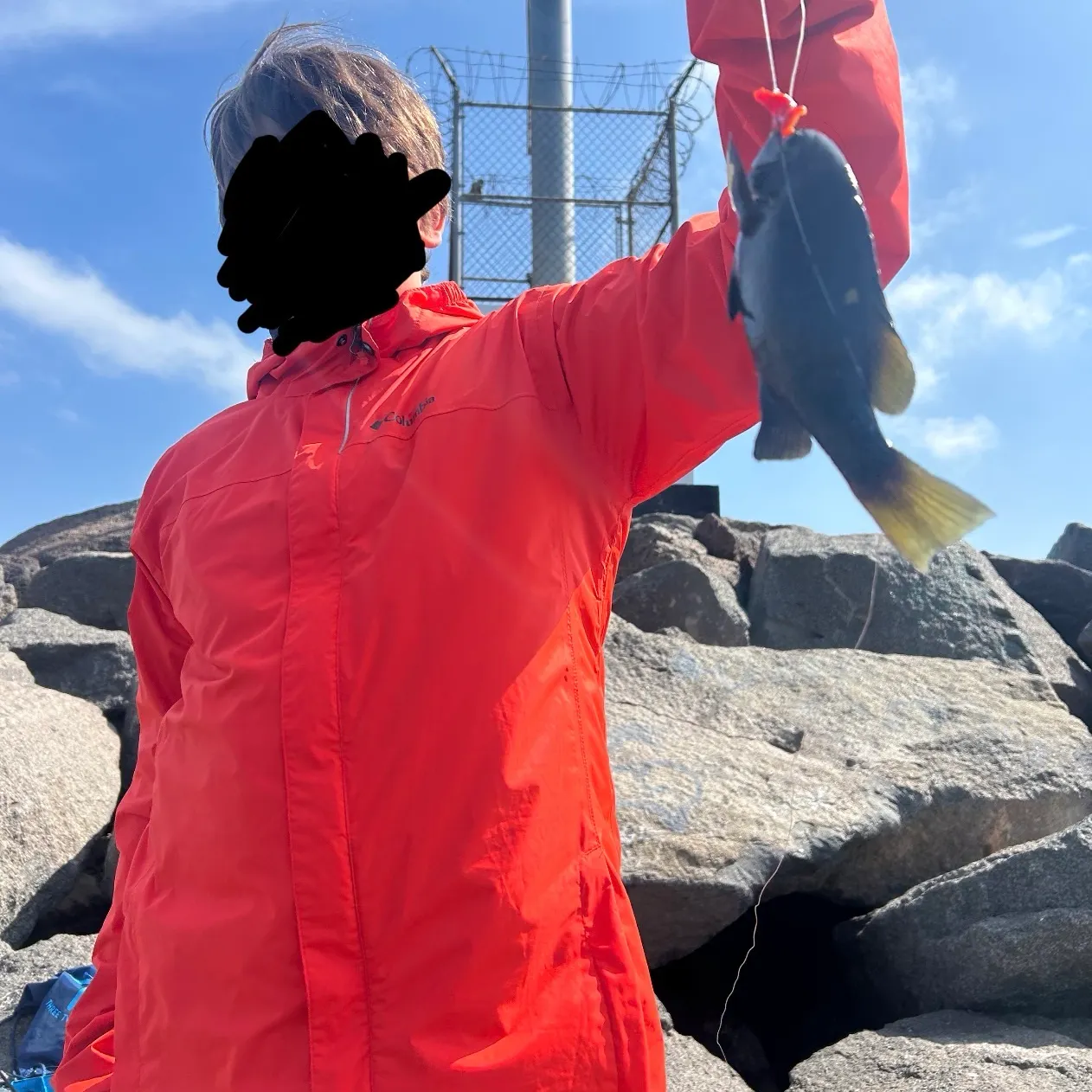 Opaleye caught on Fishbrain