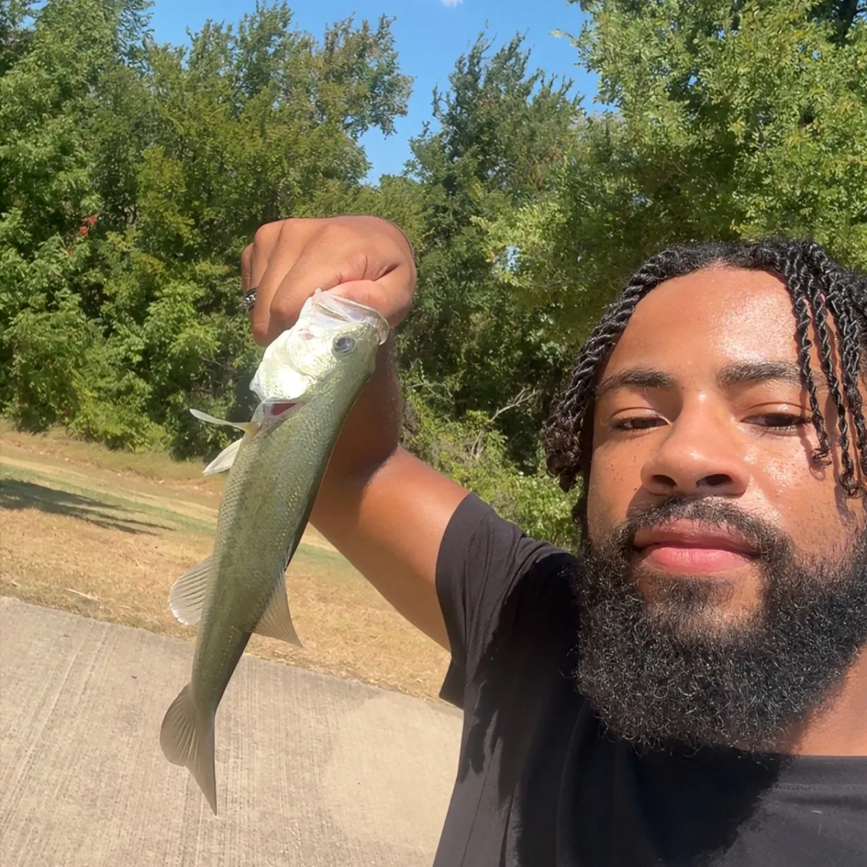 Largemouth bass caught on Fishbrain