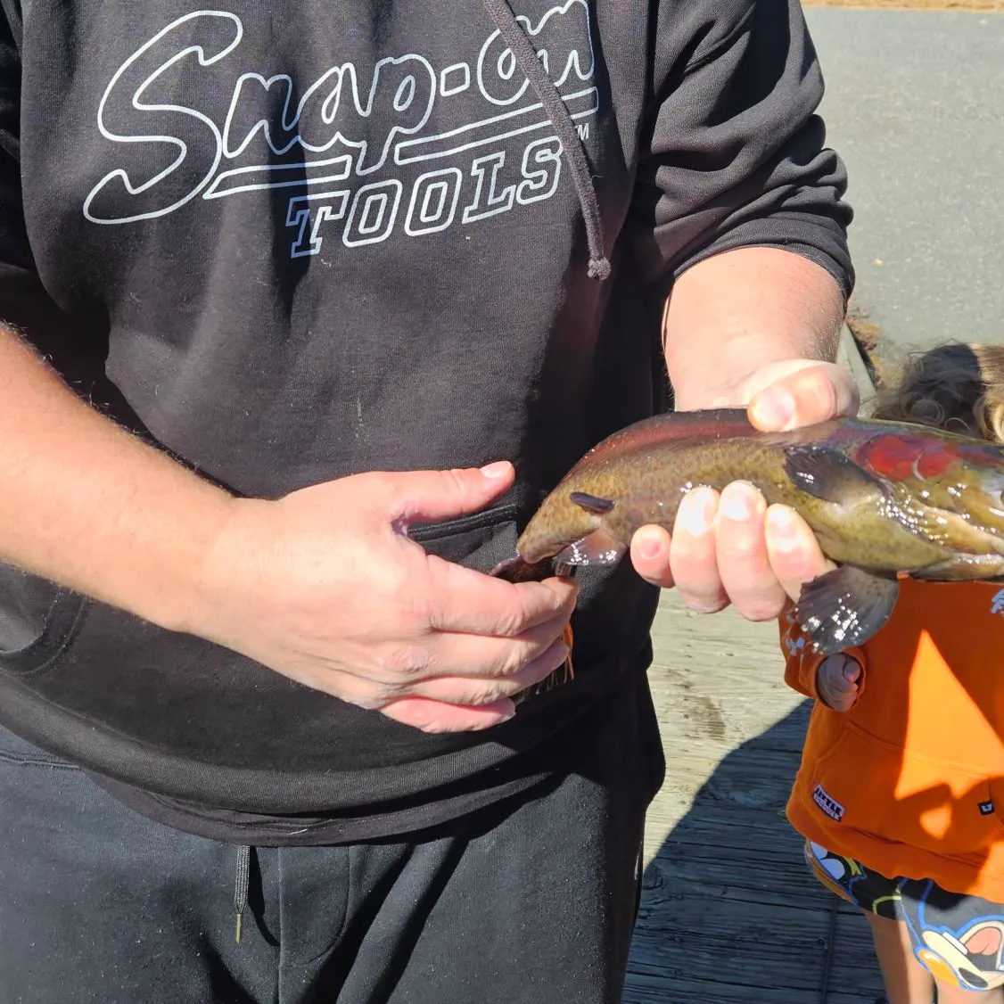 Rainbow trout caught on Fishbrain