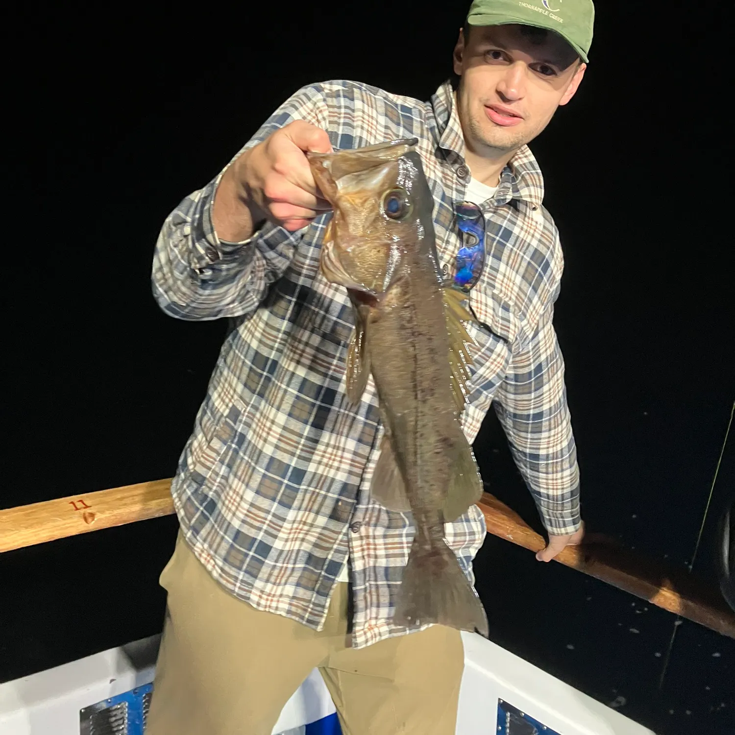 The most recent Bocaccio rockfish catches on Fishbrain