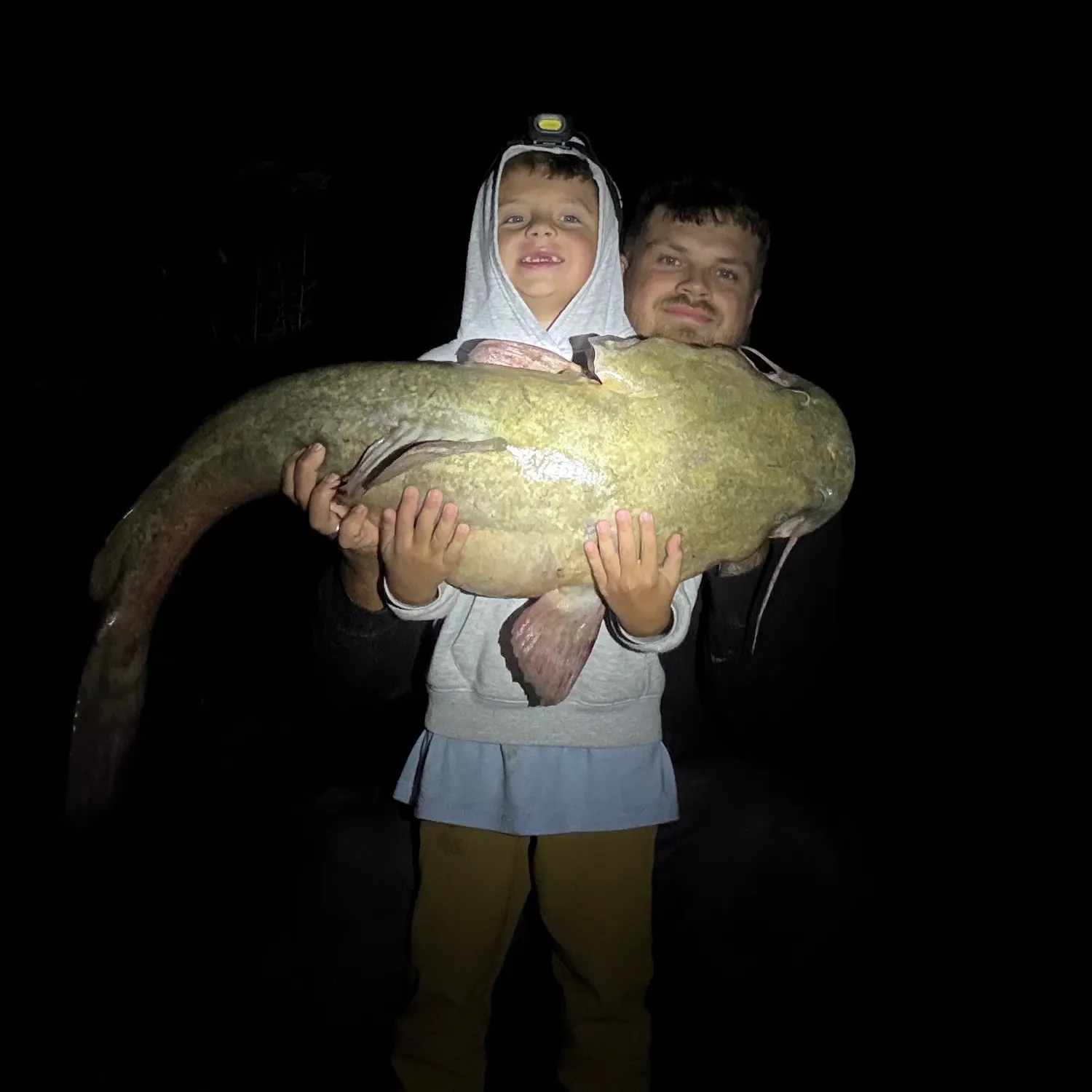 Flathead catfish caught on Fishbrain