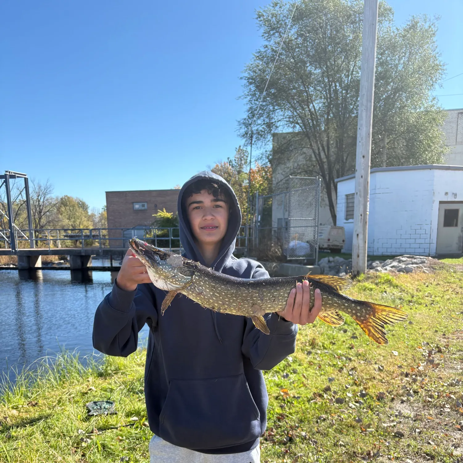 Northern pike caught on Fishbrain